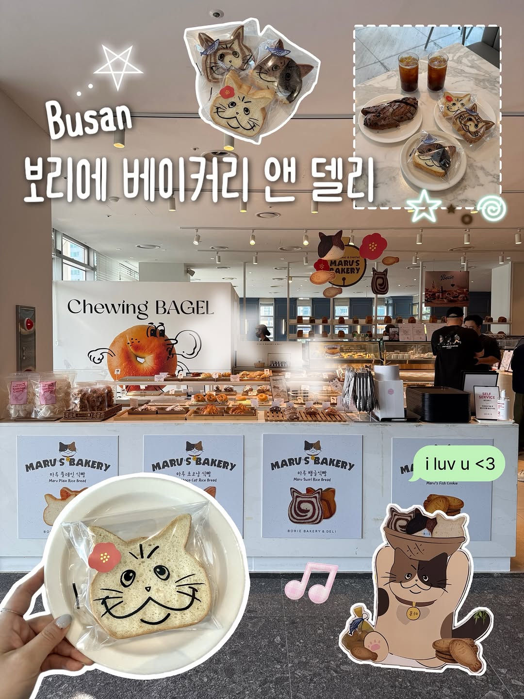 Cute Cat Bread at Borie Bakery and Deli