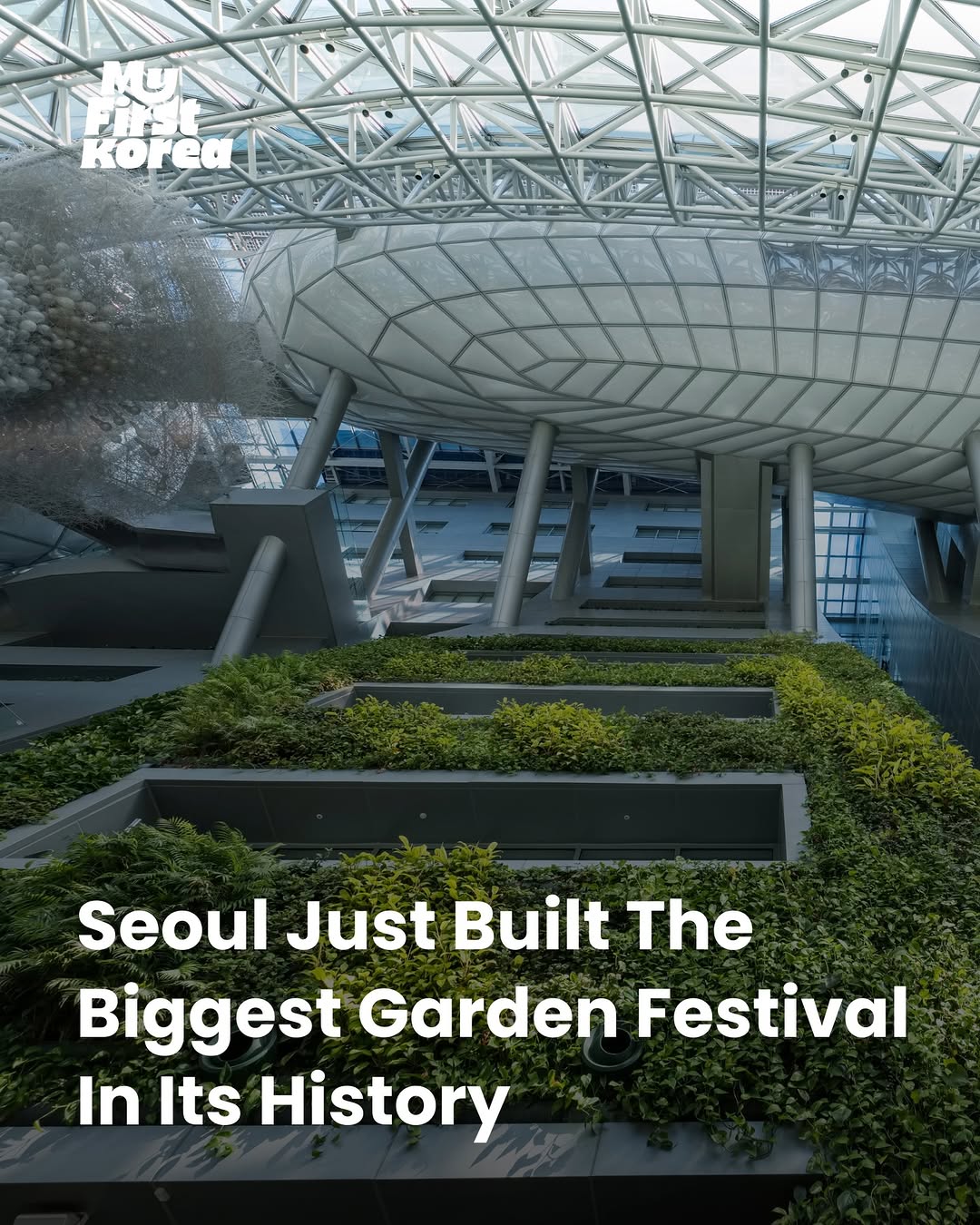 Seoul Garden Show Transforms Parks into Garden City
