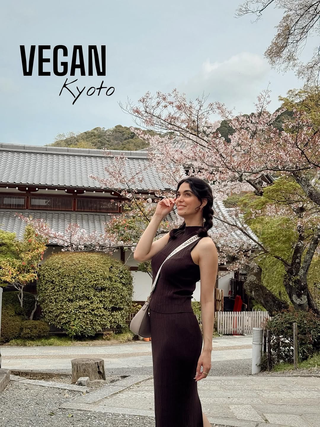 Kyoto's Top Vegan and Vegetarian Dining Experiences