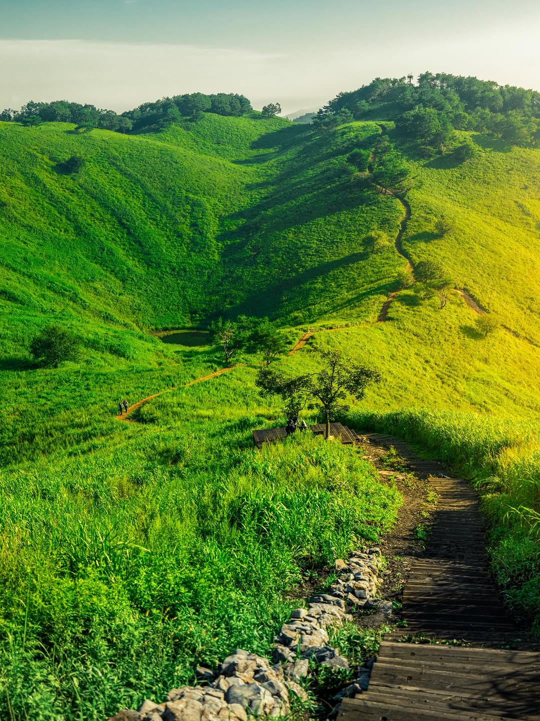 Mindungsan Mountain: A Natural Escape