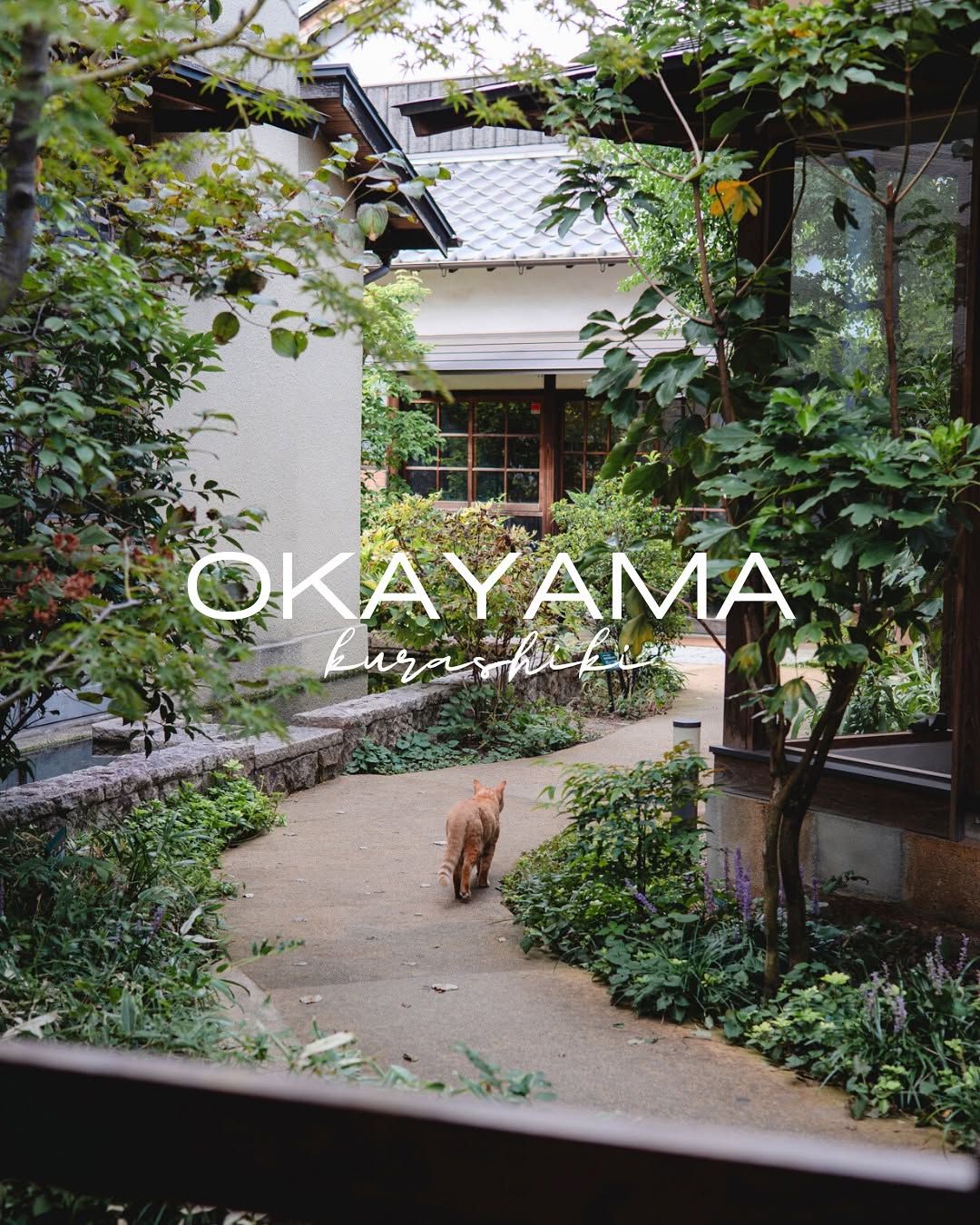 Morning Spots in Kurashiki Bikan Historical Quarter