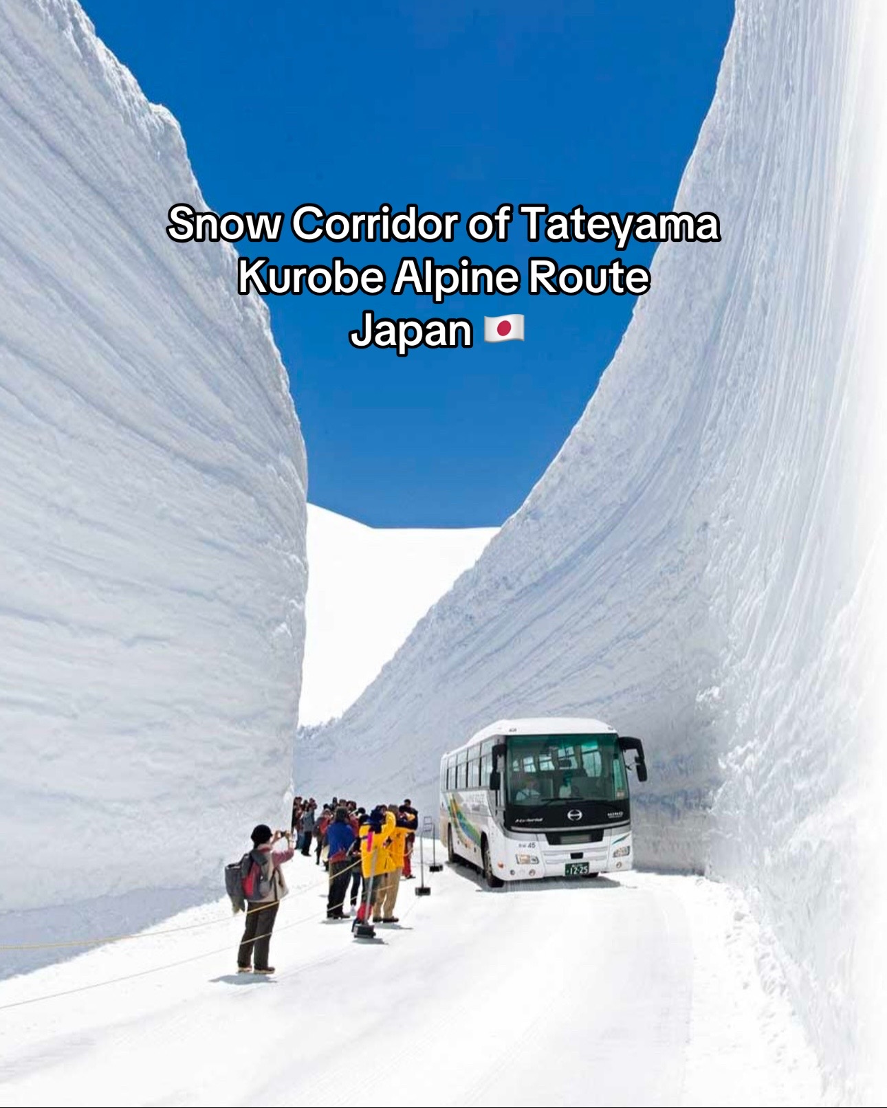 Tateyama Kurobe Alpine Route's Snow Corridor