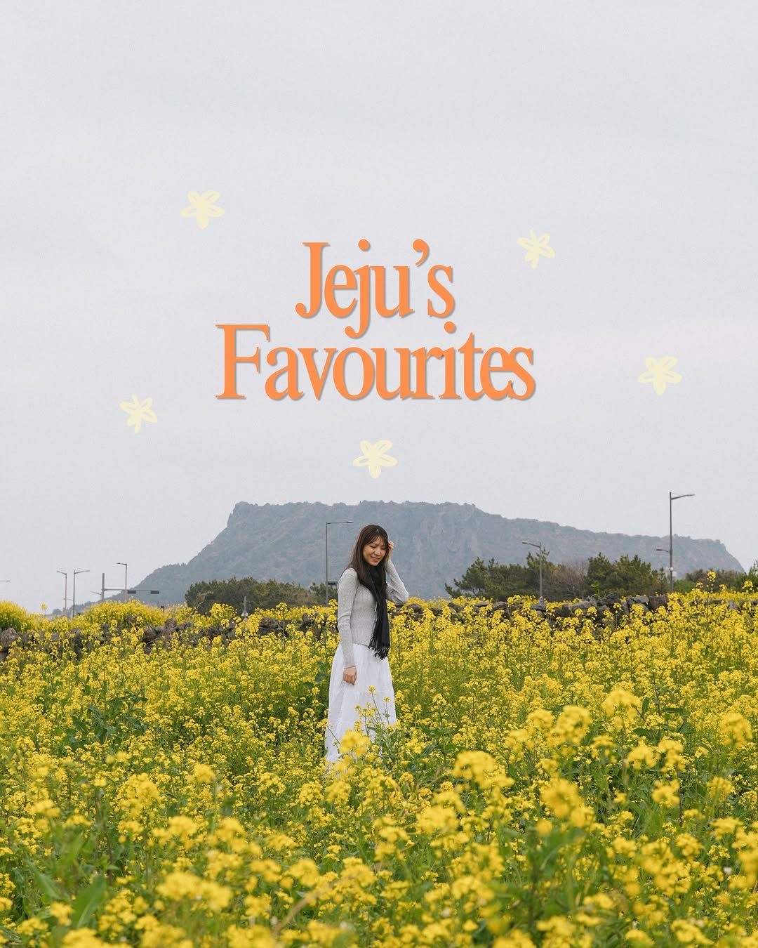Jeju's Charming Coastal and Market Delights