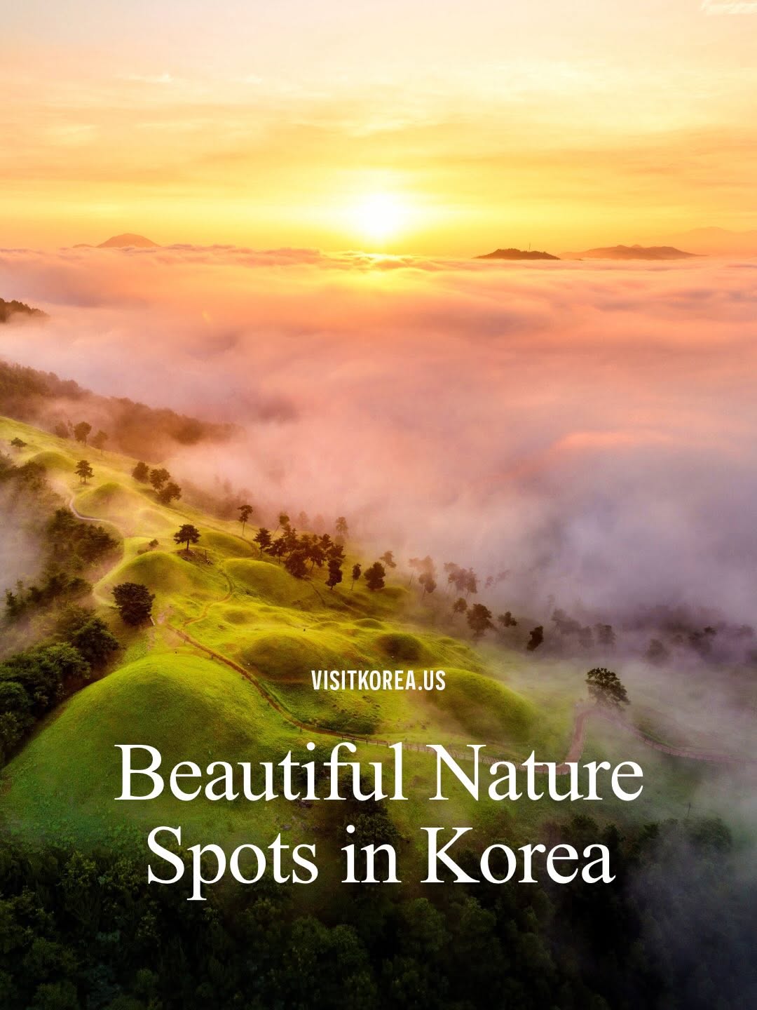 Beautiful Korean Summer Nature Scenes