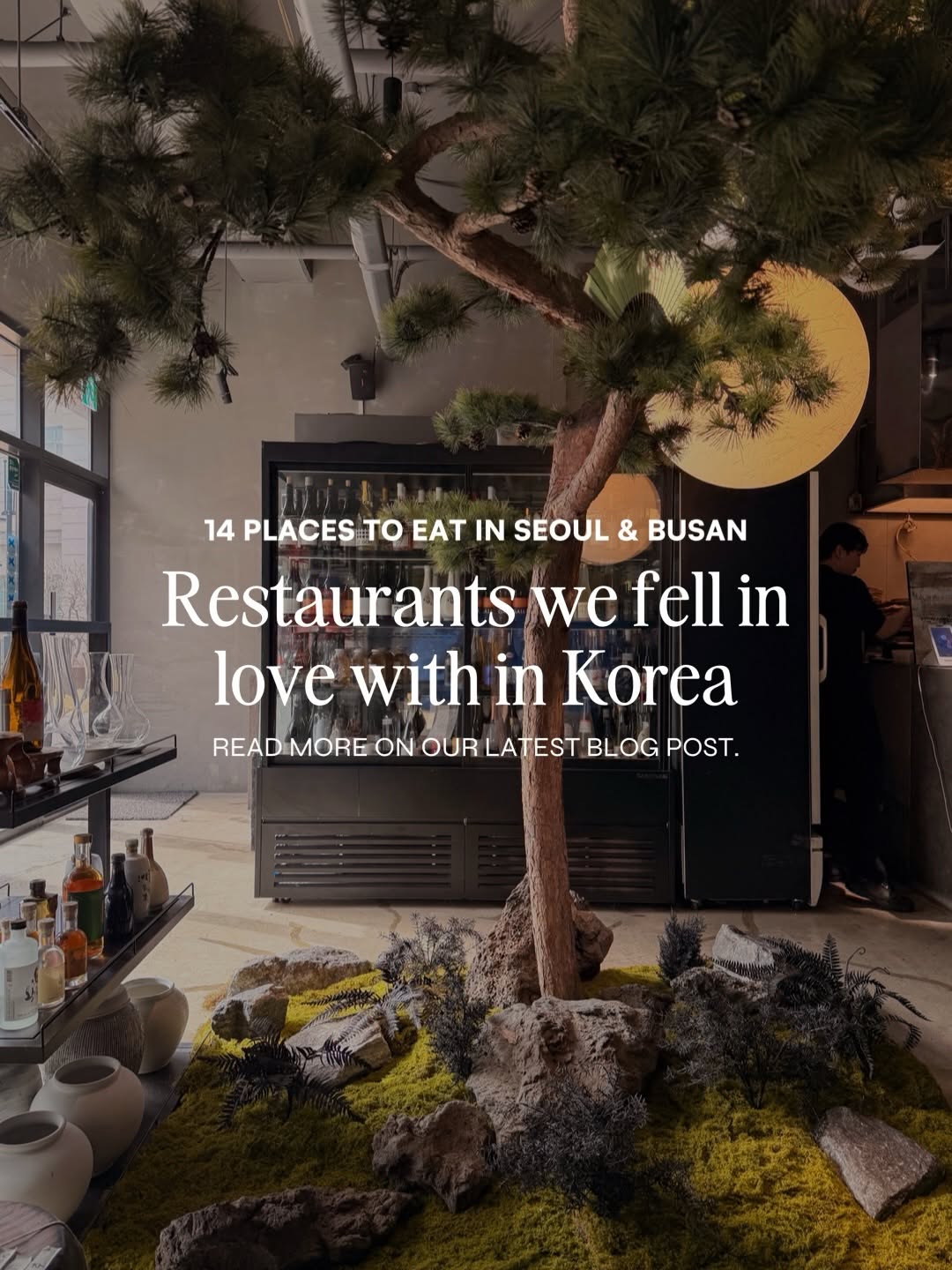 Seoul and Busan Favorite Food and Drink Spots