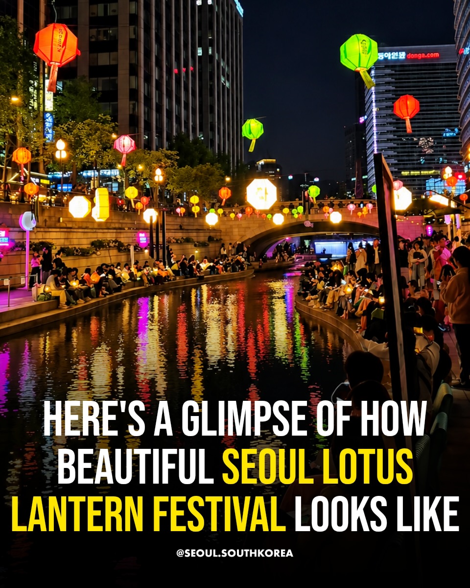 Seoul Lotus Lantern Festival Through Central Seoul