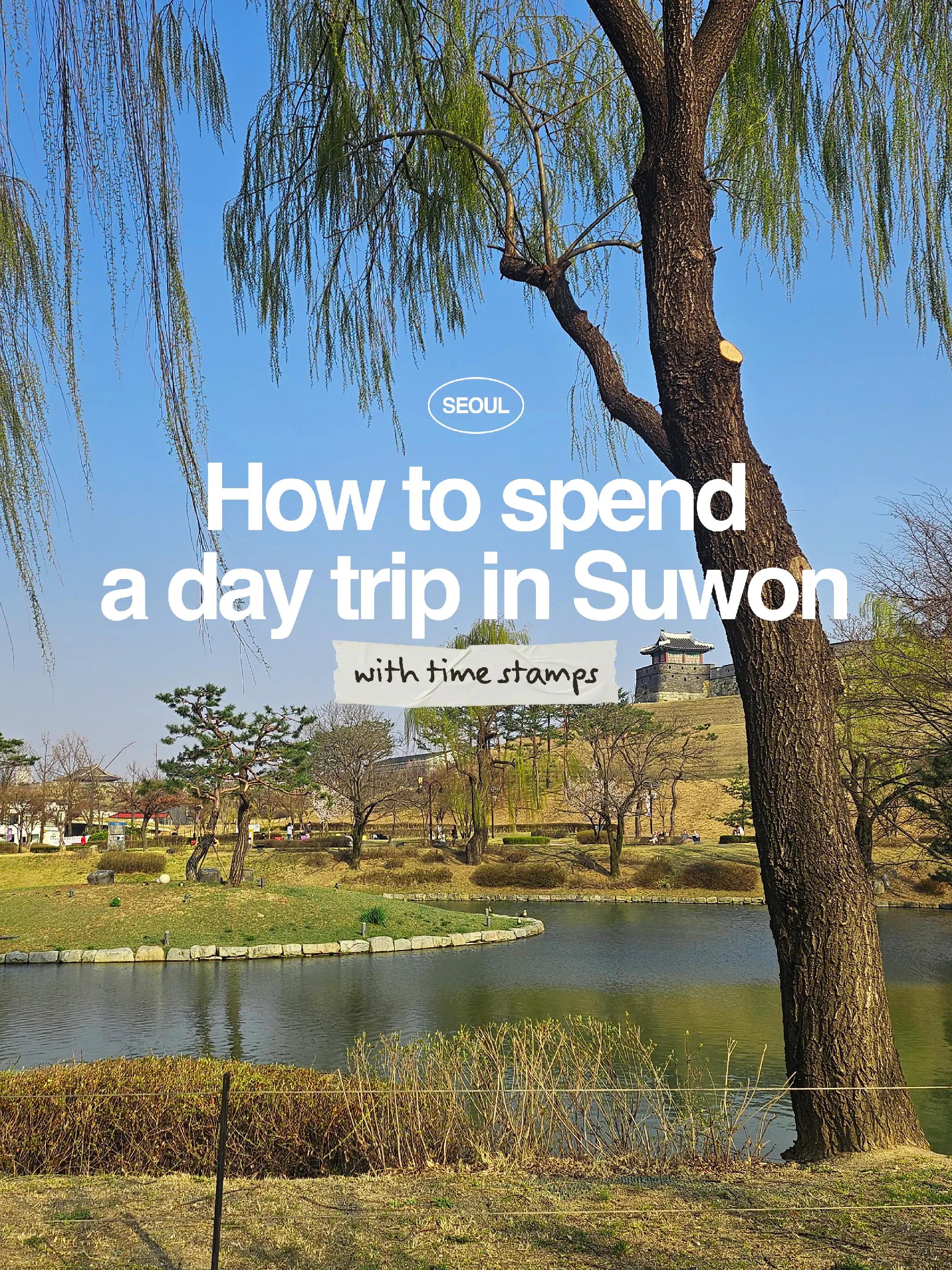 Suwon Day Trip: Fortress, Library, and Cafes