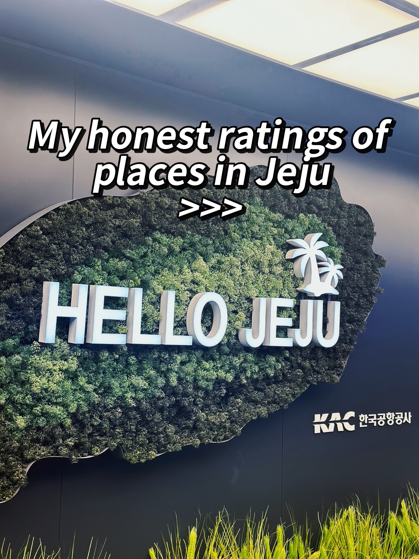 Jeju Island's Diverse Attractions