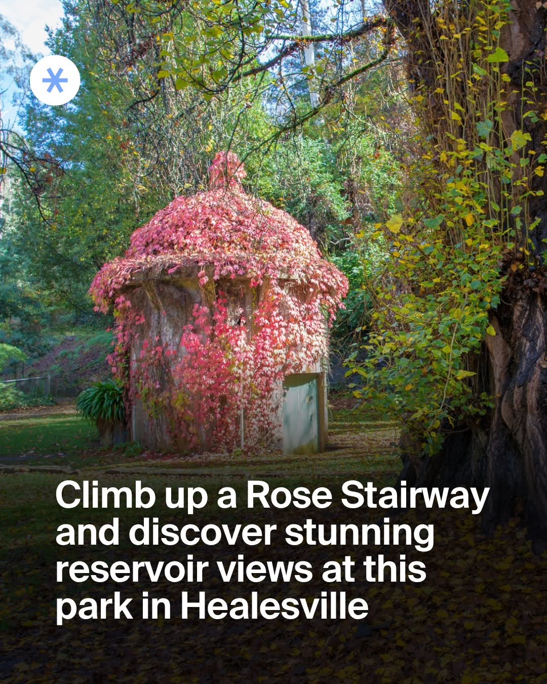 Rose Steps Formal Gardens Near Melbourne