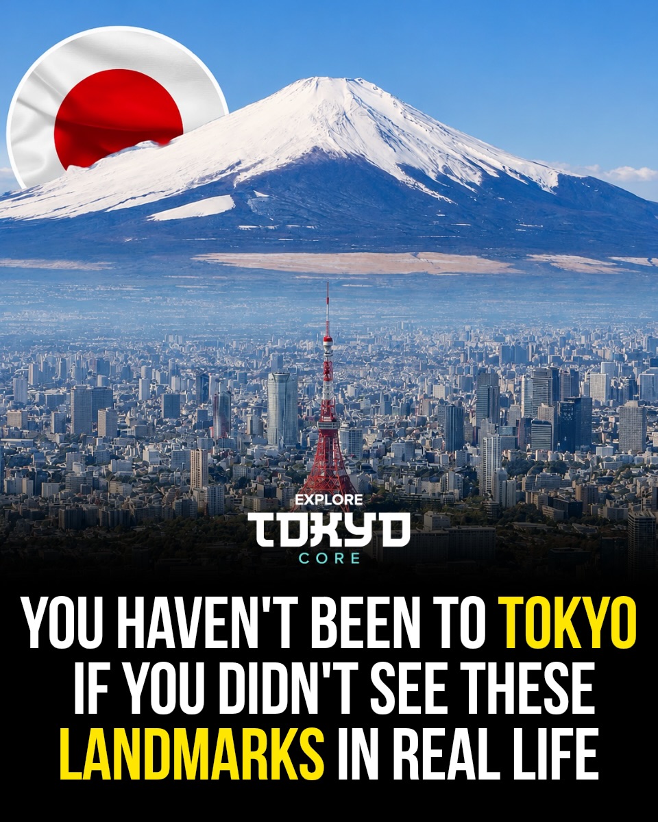 Tokyo's Must-See Landmarks and Attractions