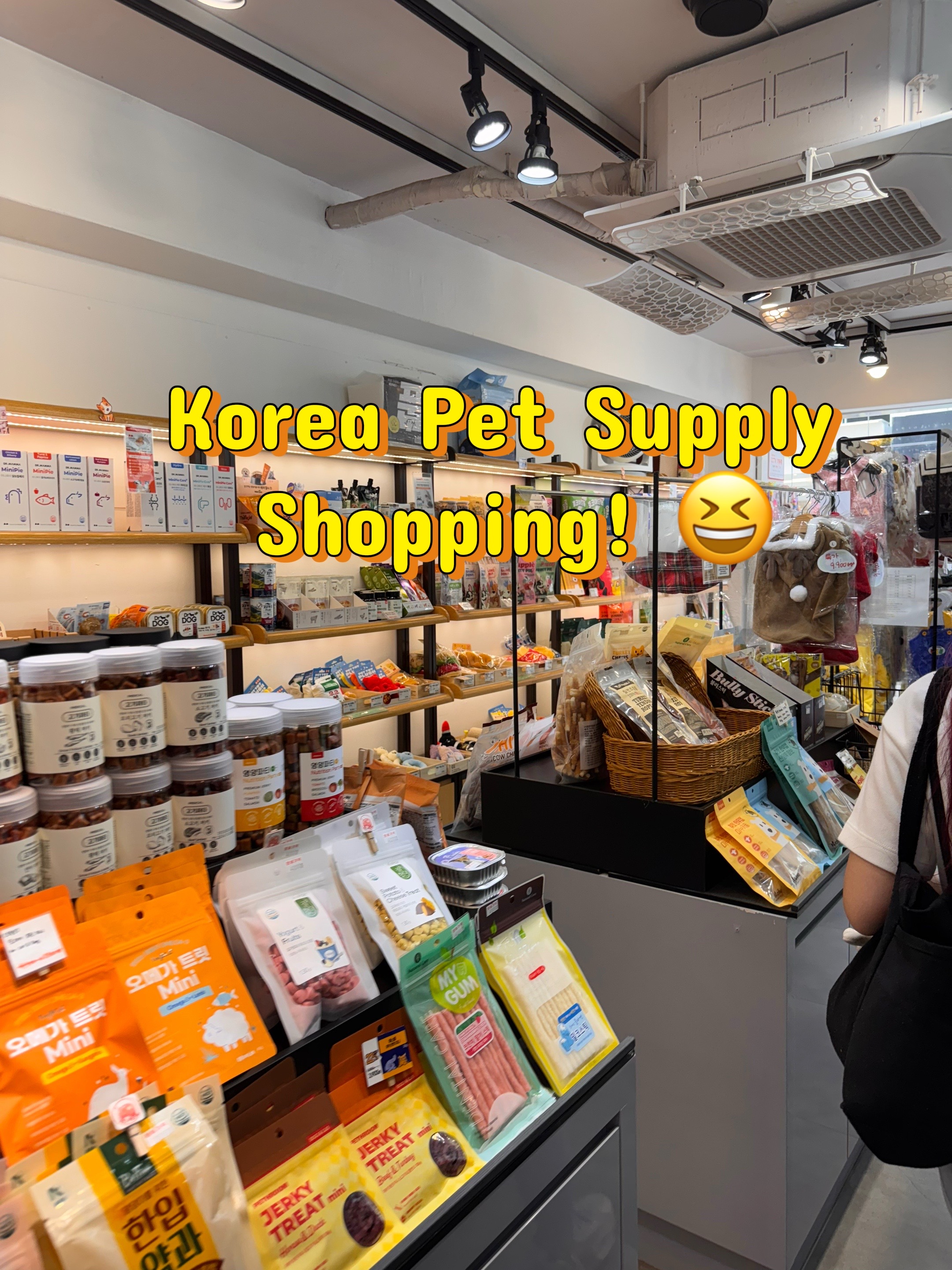 Seoul Pet Shopping Guide