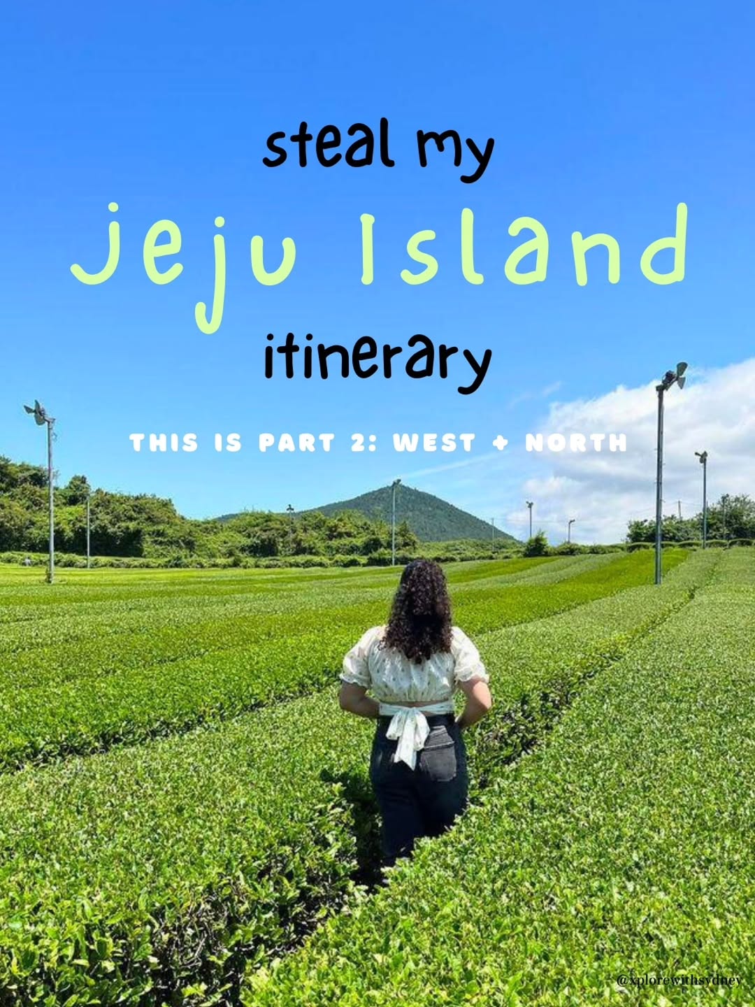 Jeju Island's North and West: Cafes, Markets, and Black Pork