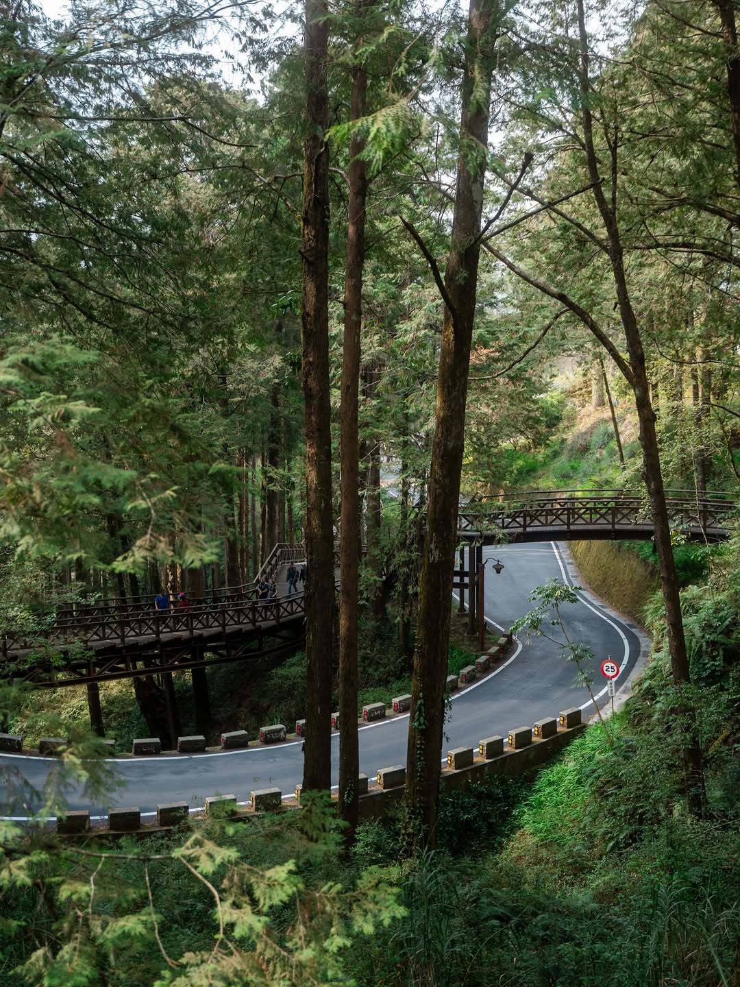 Alishan Forests And Historic Railway