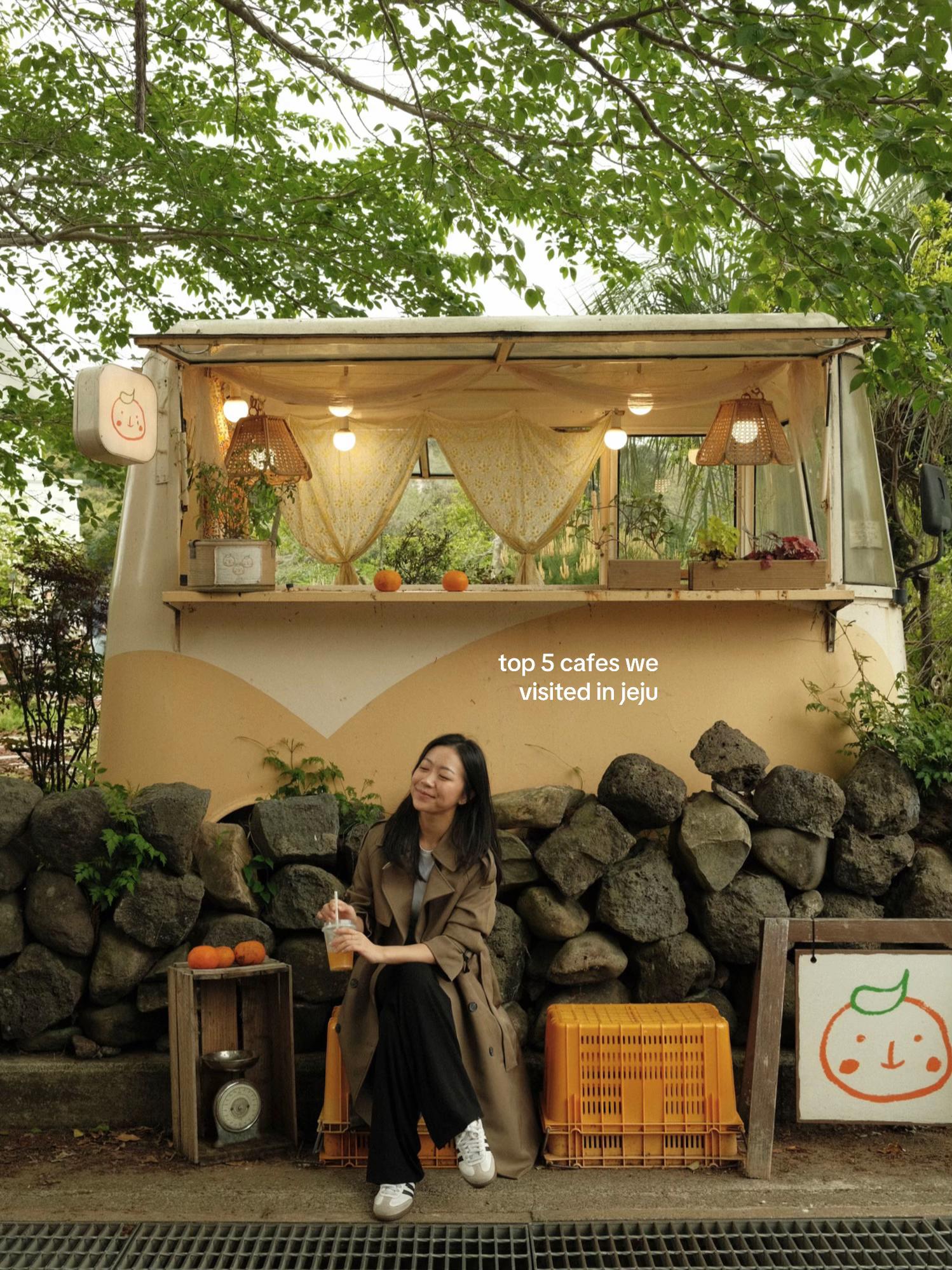 Five Korean Cafes And Orange Picking