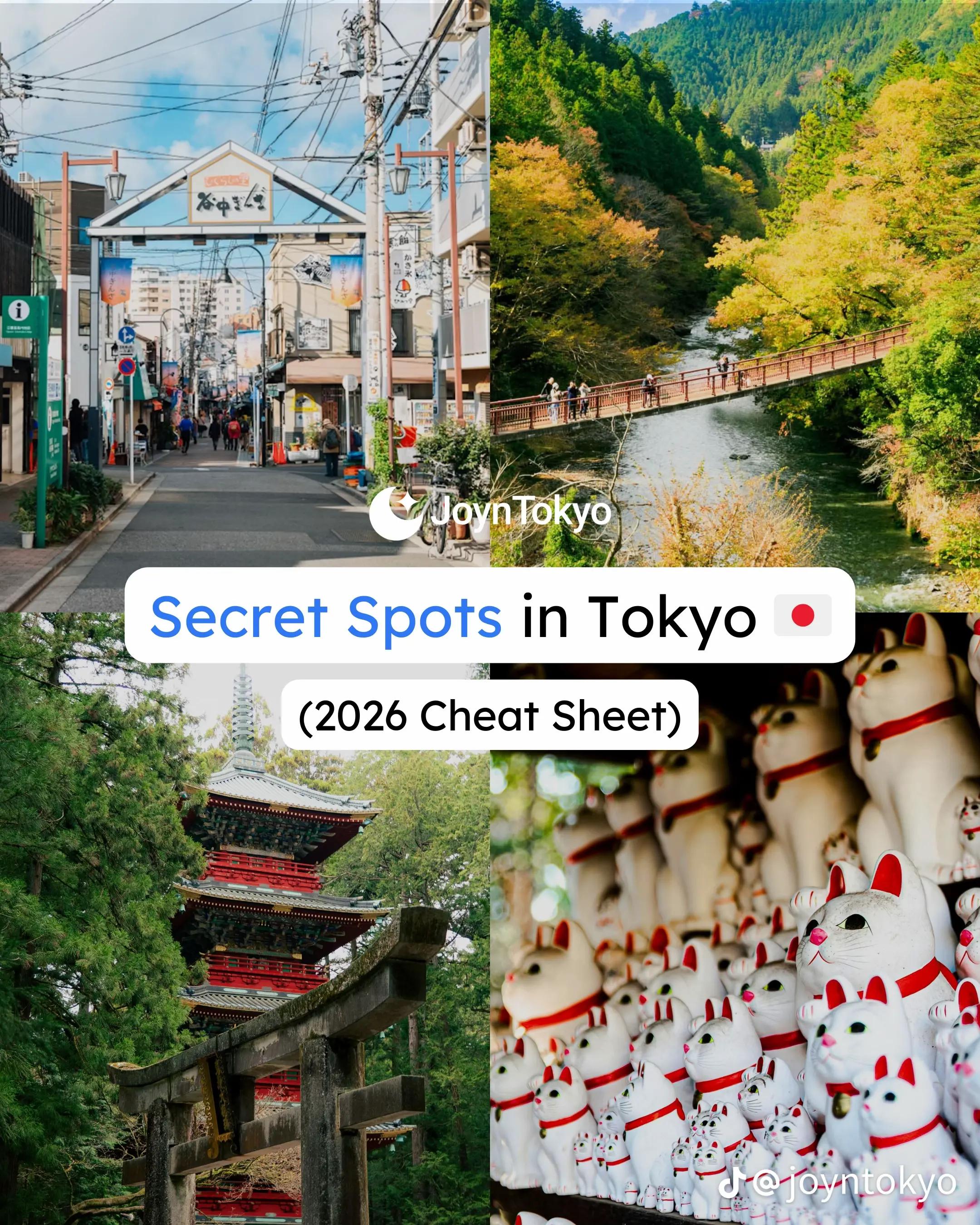 Tokyo Neighborhoods And Nature Spots