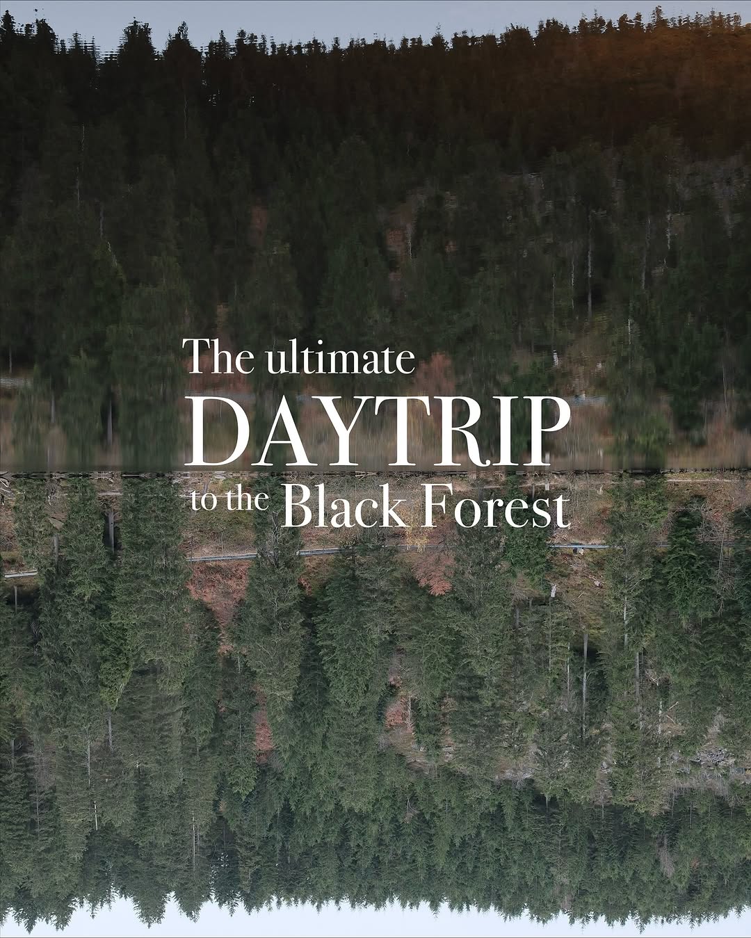 Black Forest's Best Driving and Hiking Spots