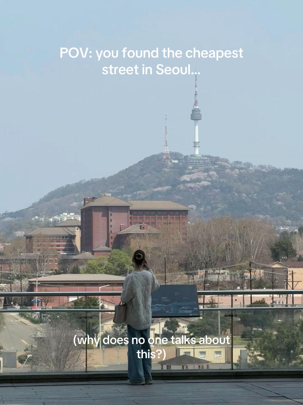 Seoul Flea Market and N Seoul Tower Exploration