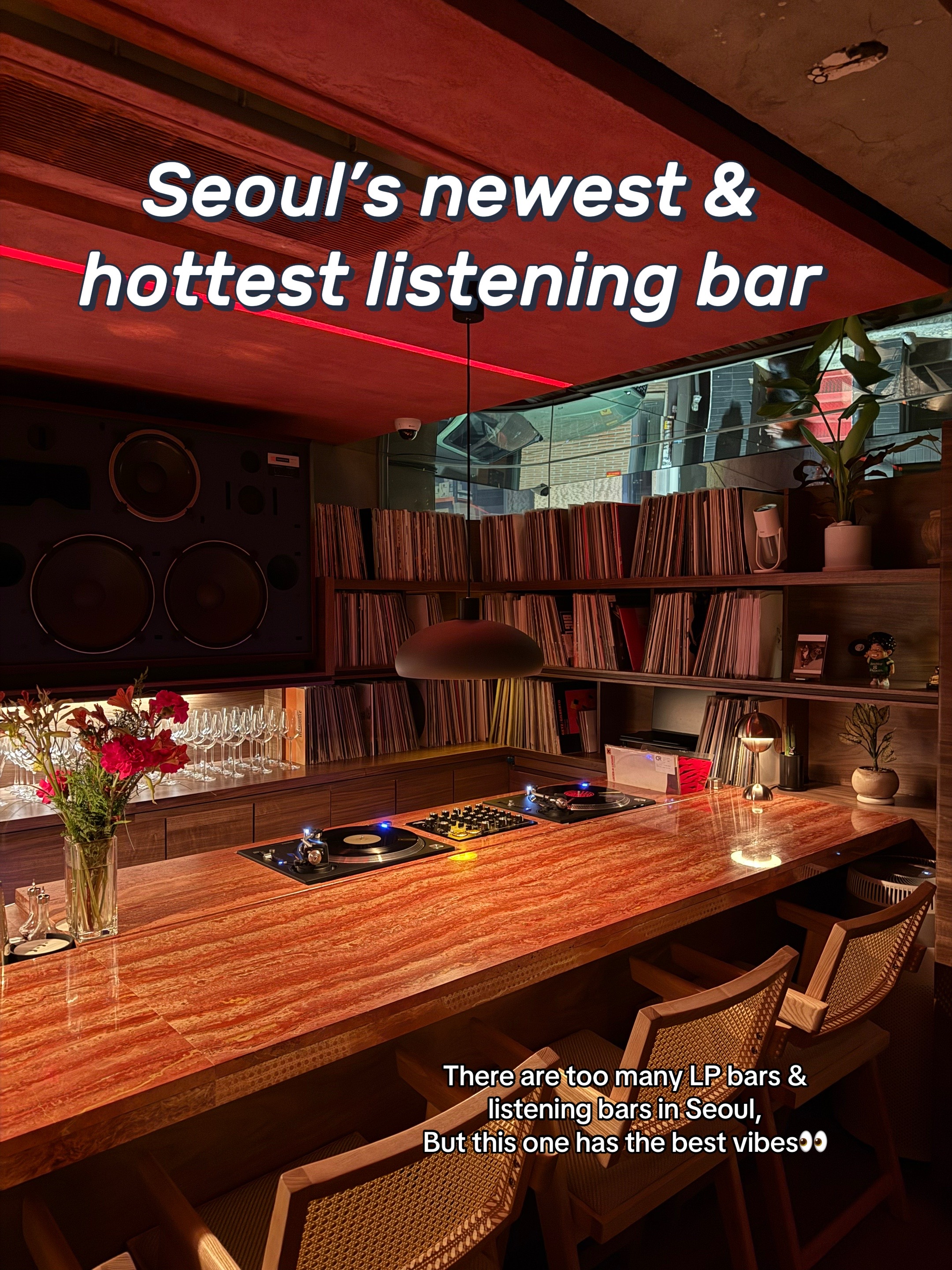 DoDo Bar: A New Hotspot with Great Atmosphere