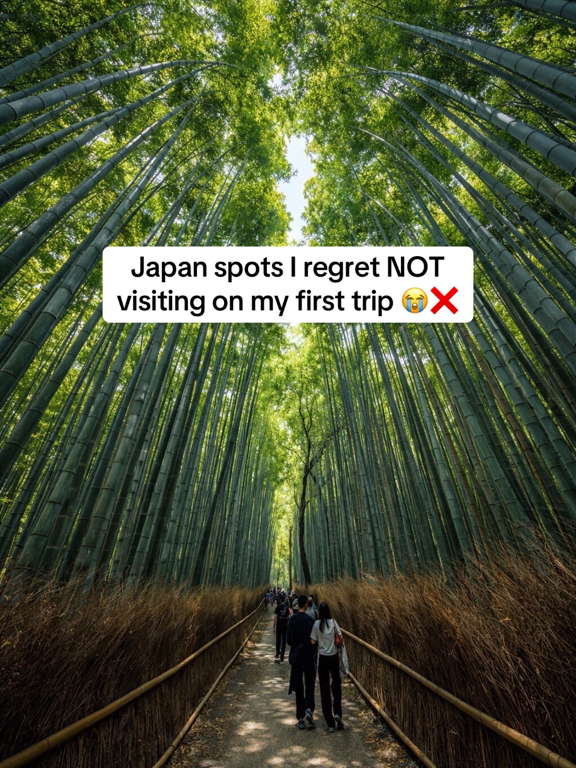 Tokyo's Hidden Gems and Natural Wonders