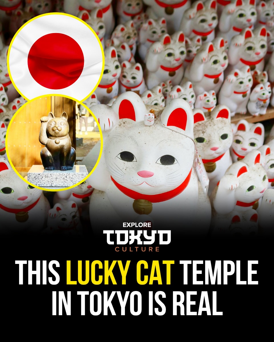 Gotokuji Temple: Tokyo's Lucky Cat Sanctuary