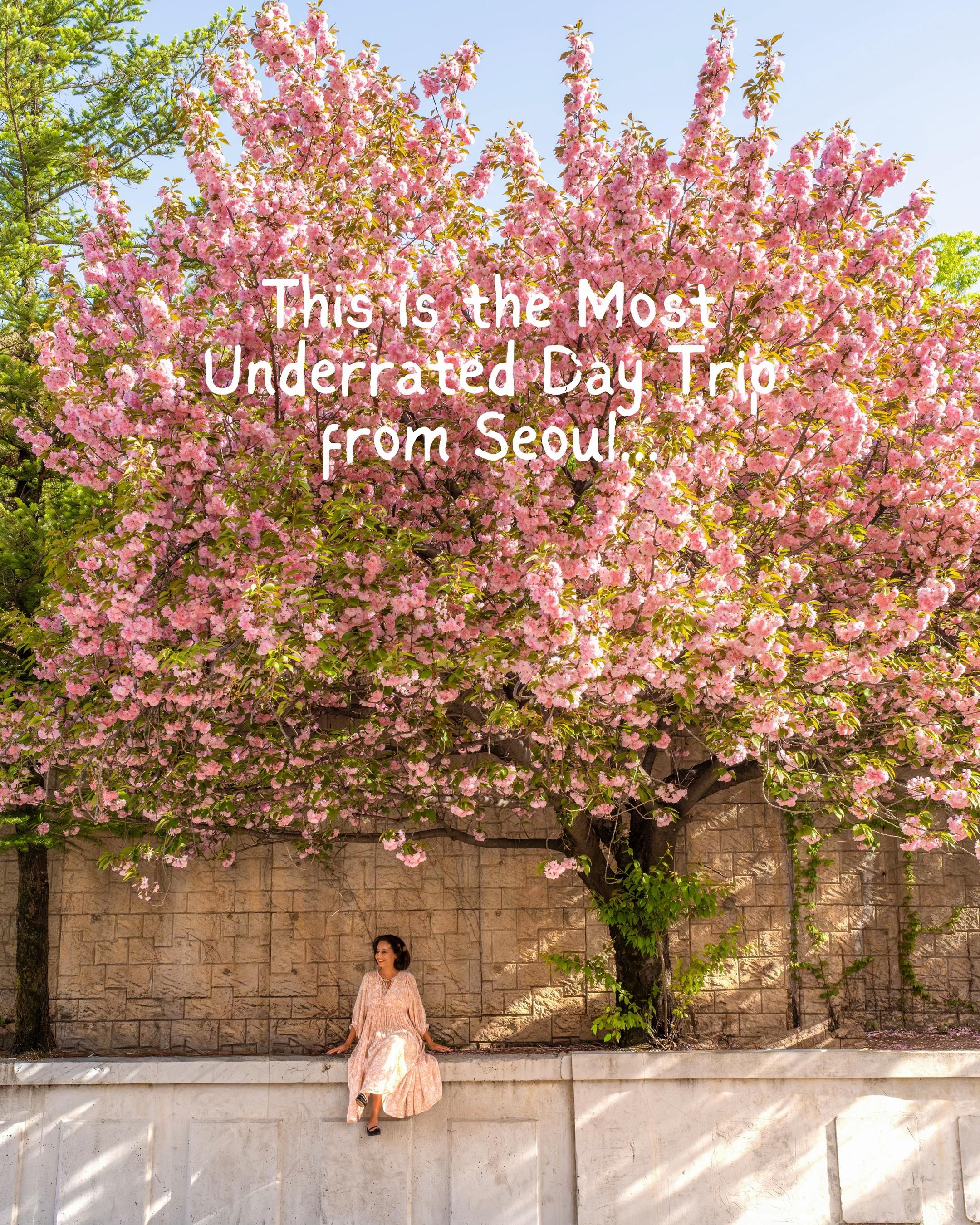 Explore Suwon's Fortress, Culture, and Modern Attractions
