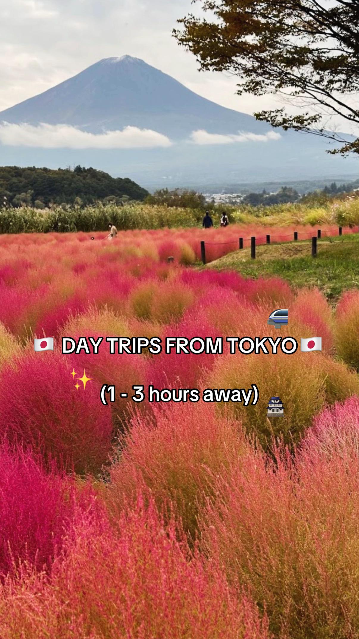 Tokyo Area Day Trips: Nature, Temples, and City Escapes