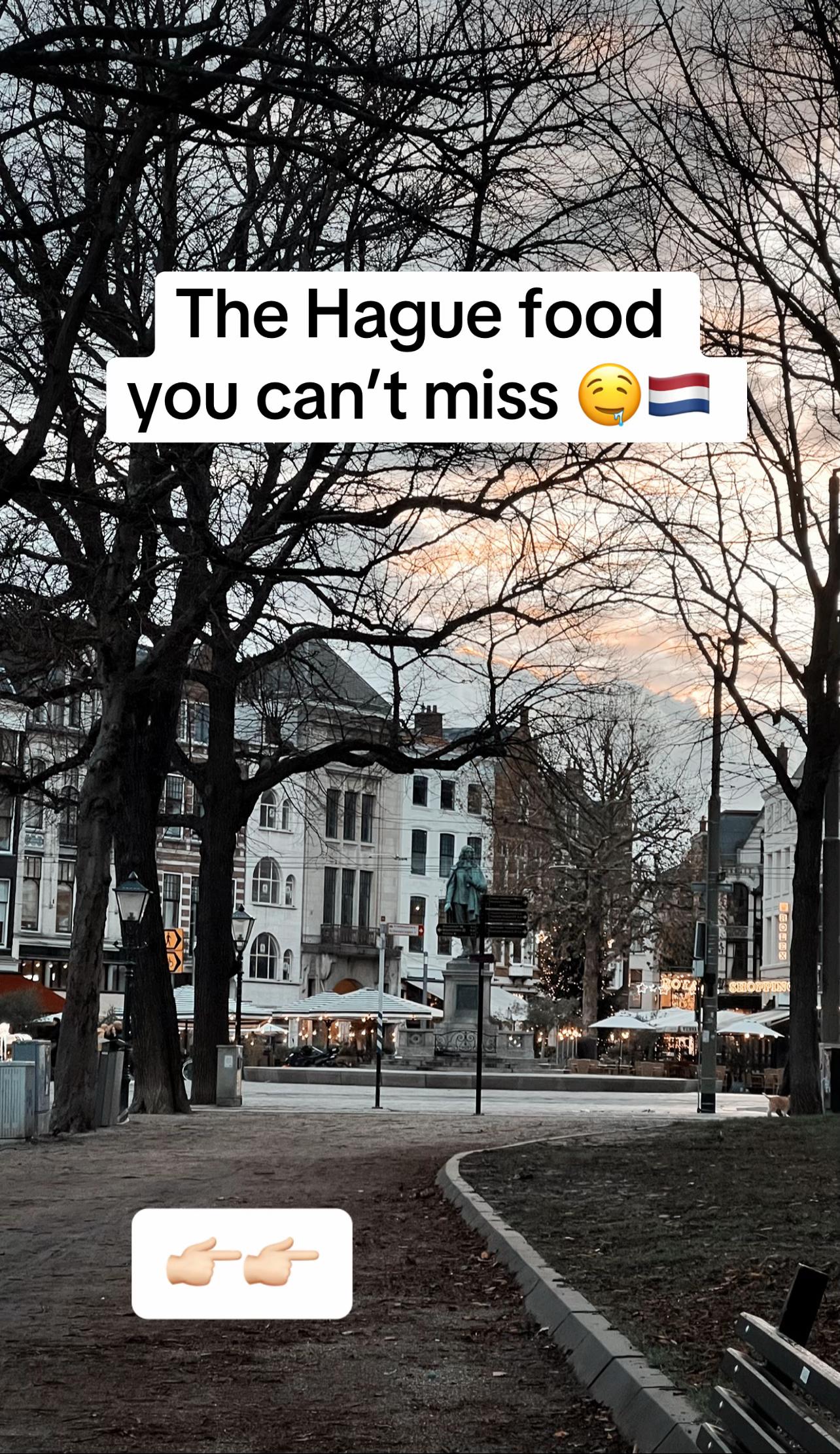 Asian Restaurants and BBQ in The Hague