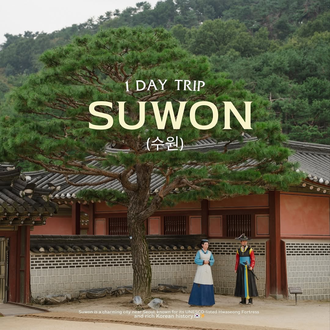 Suwon Day Trip: Fortress, Culture, and Modern Attractions
