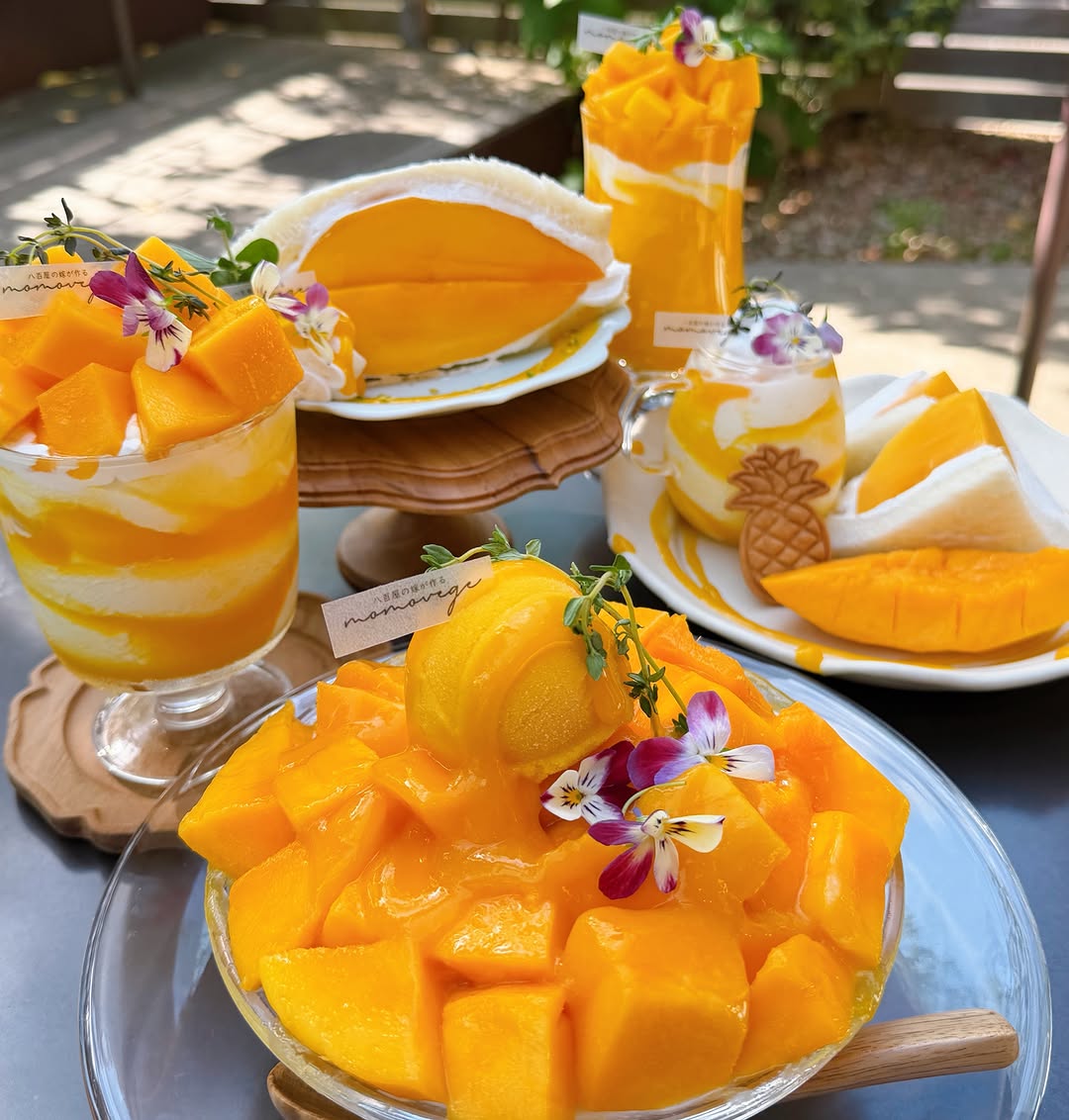Momovege Offers Limited Edition Mango Panna Cotta