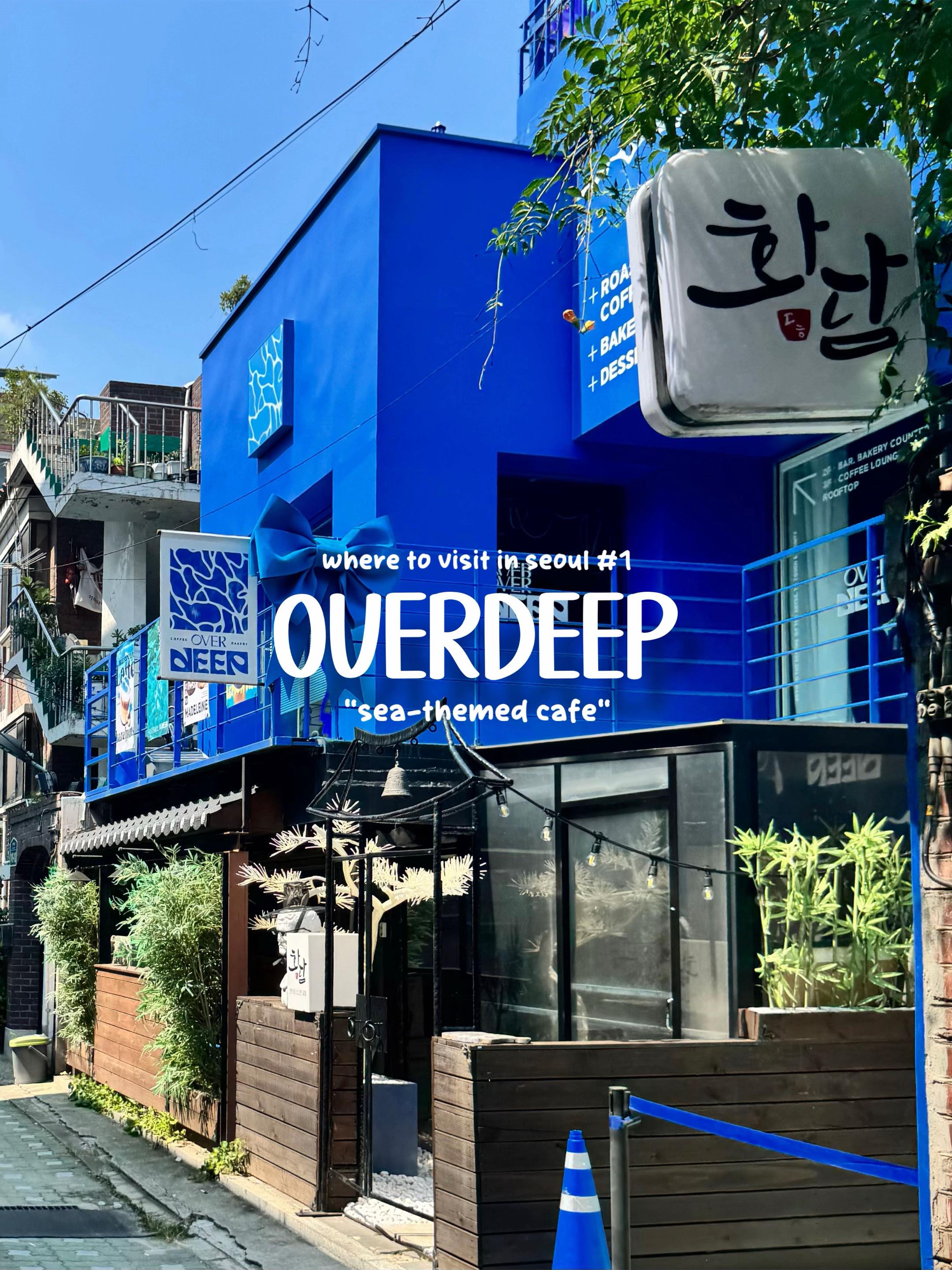 Seoul's Sea-Themed Cafes And Unique Spots