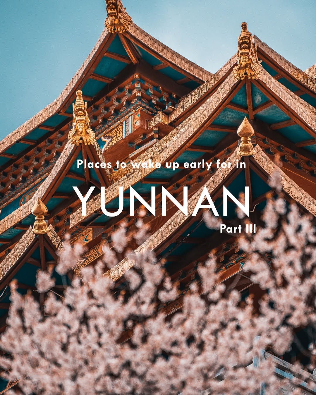 Yunnan Adventures: Lijiang, Shangri-La, and Nature