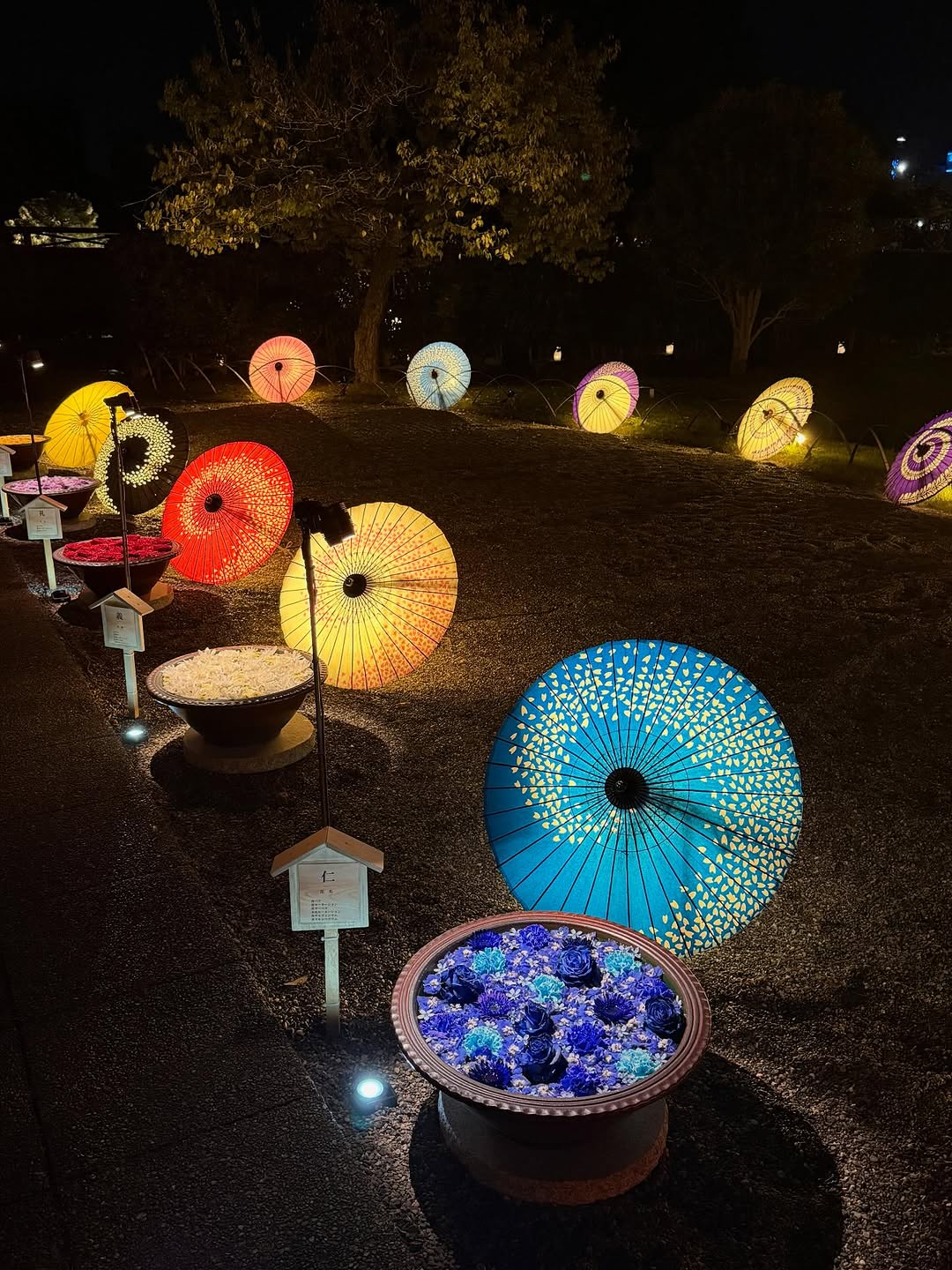 Ashikaga's Illuminations: A Must-See Festival