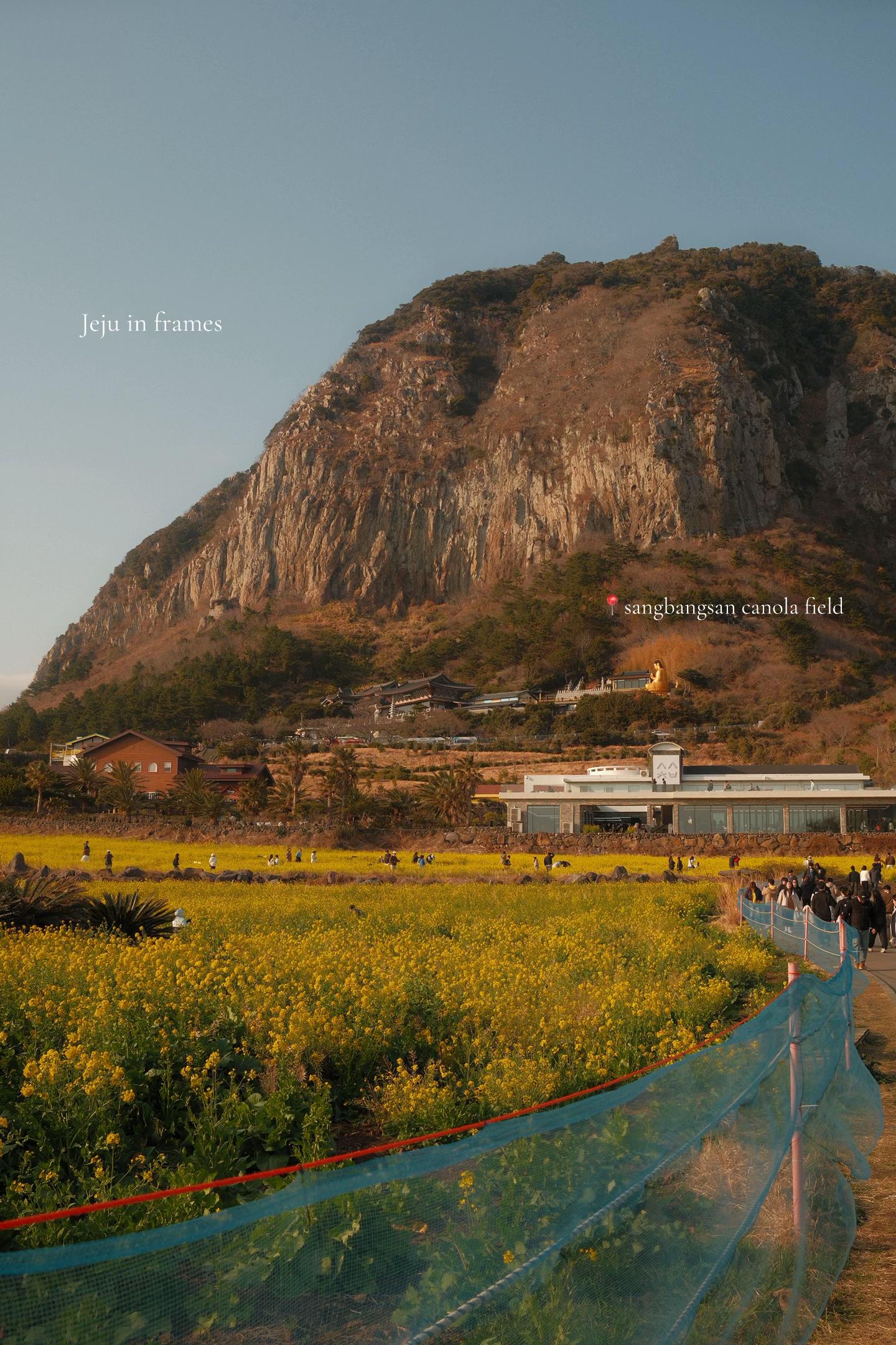 Jeju Island's Natural Wonders and Cultural Spots