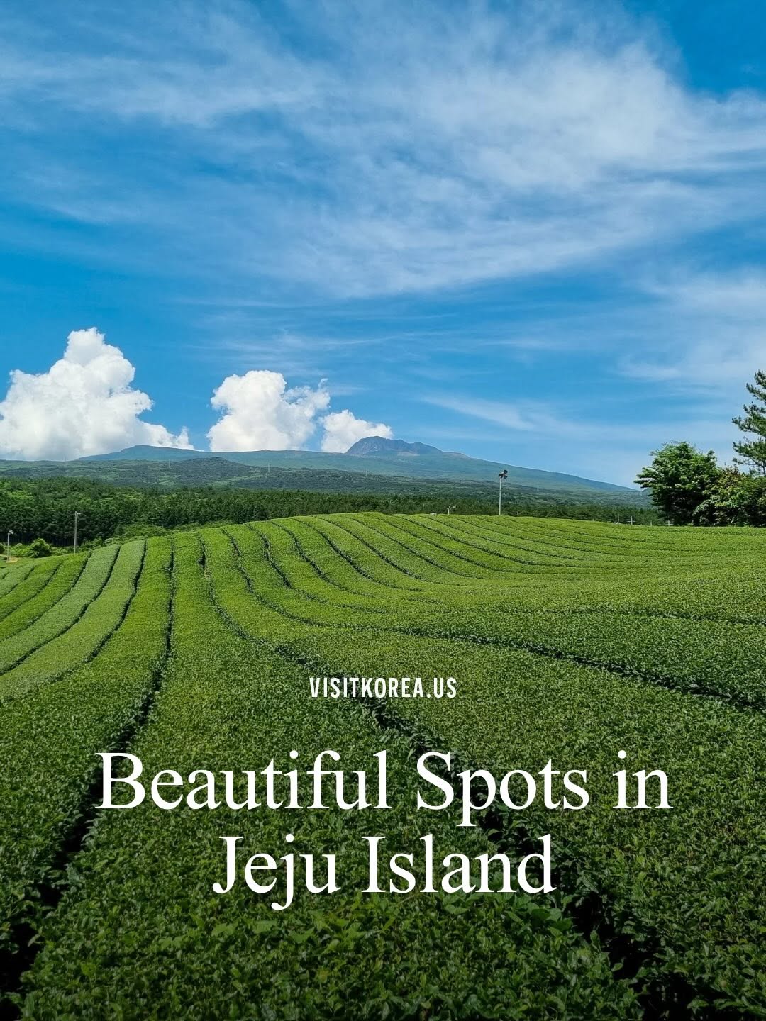 Jeju Island's Top Natural Wonders And Attractions