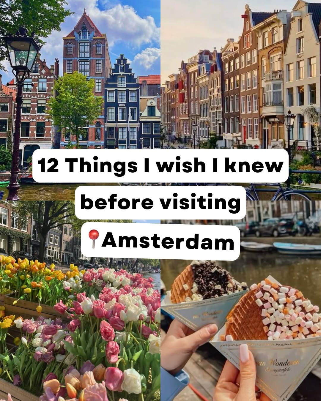 Amsterdam's Top Attractions, Eats, and Experiences