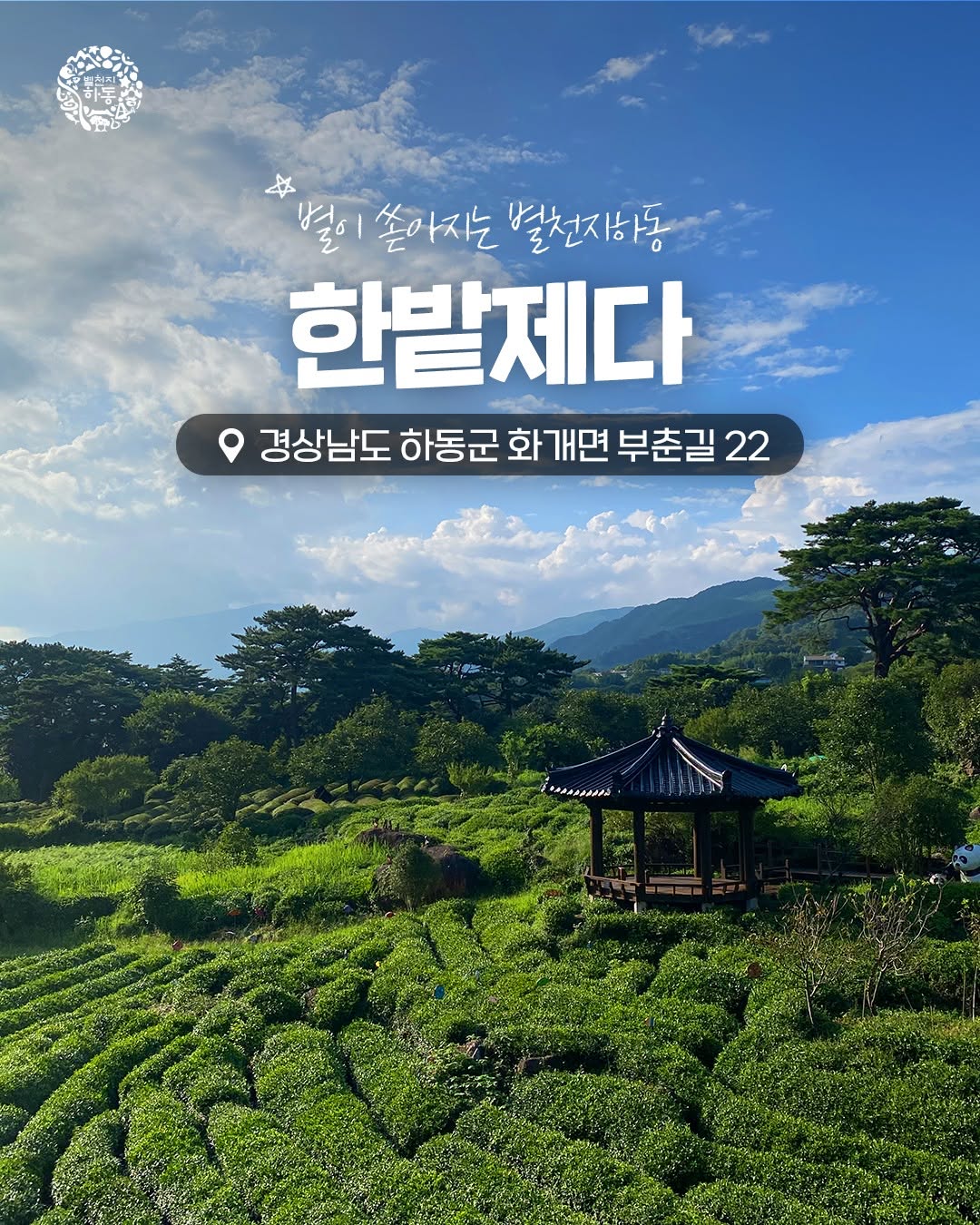 Beautiful Hadong Tea Garden: Hanbat Tea Farm