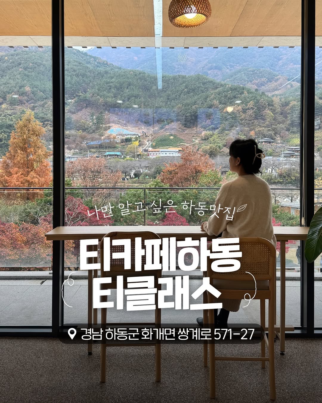 Hadong Tea Experiences: Museum and Cafe