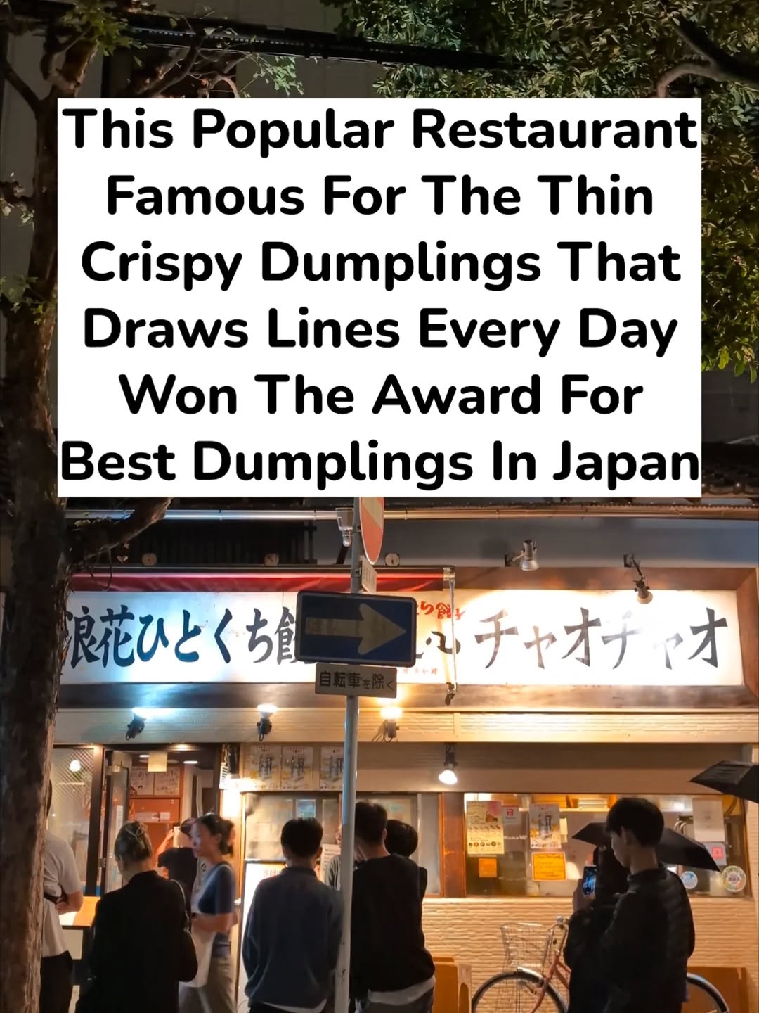 Chao Chao Gyoza: Award-Winning Dumplings In Japan