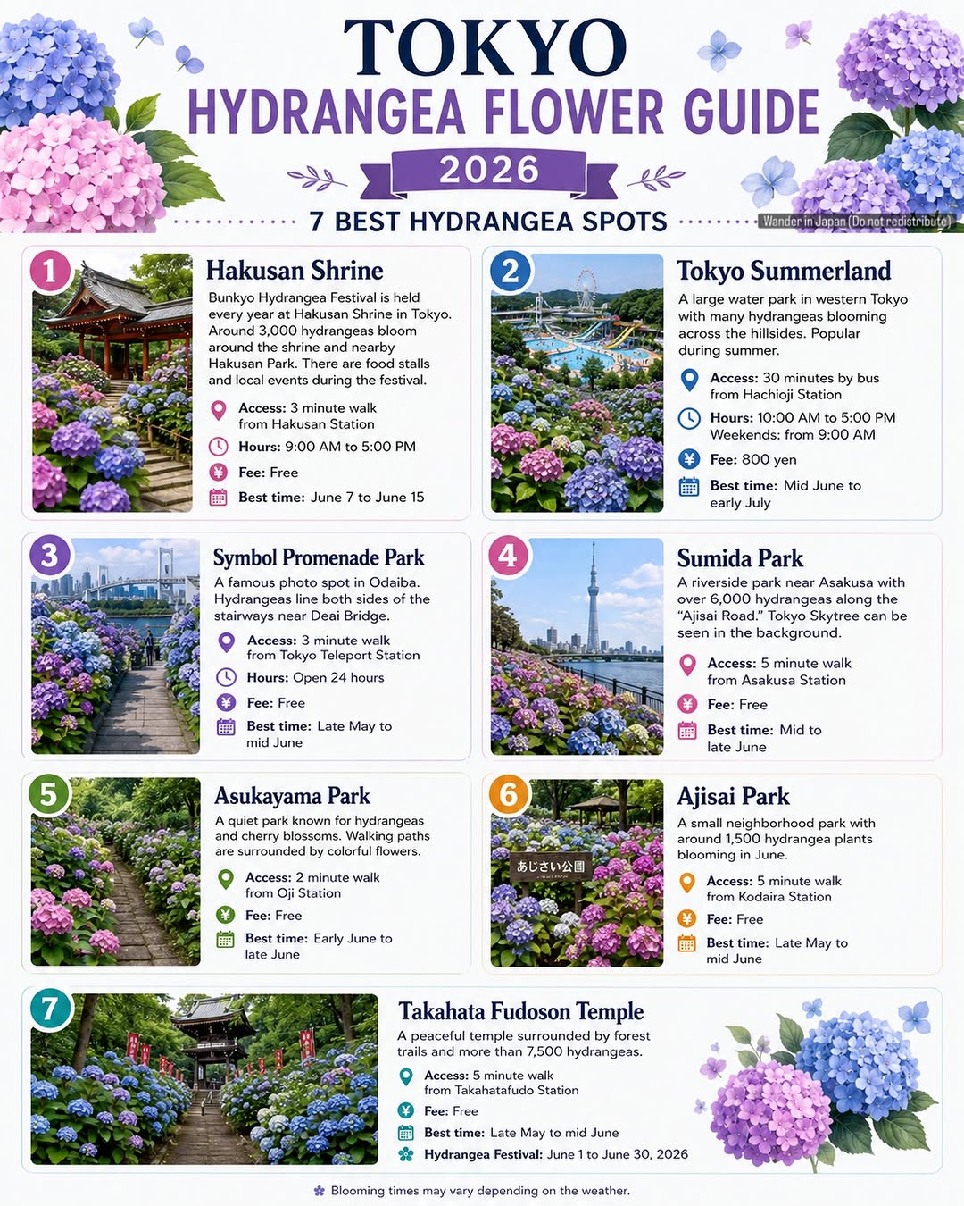 Tokyo Hydrangea Spots For Rainy Season Blooms