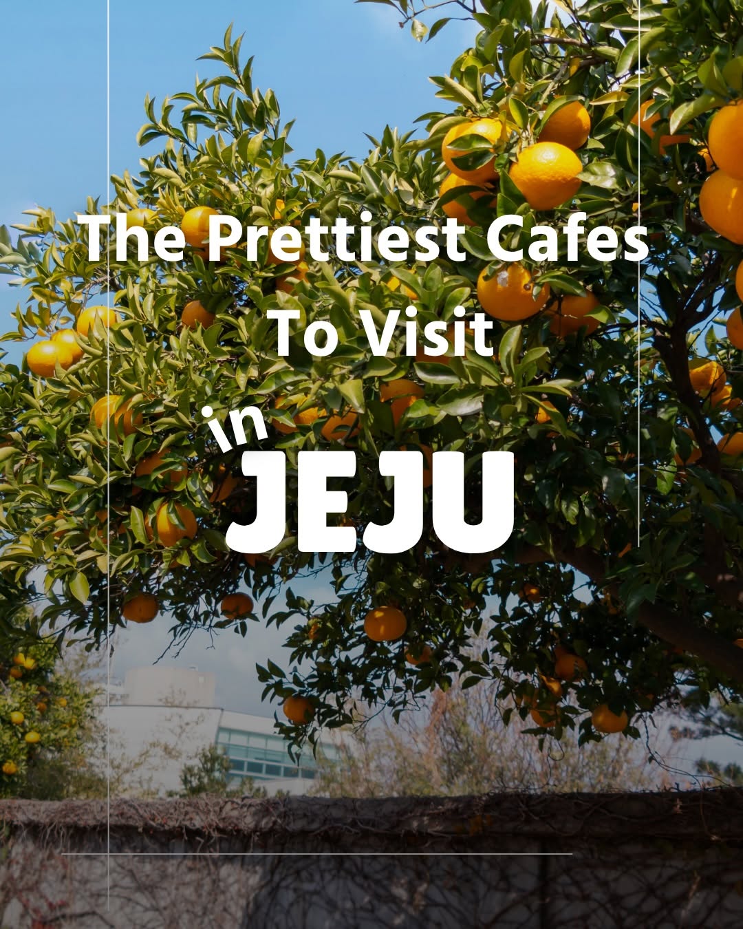 Jeju Island's Top Cafés With Ocean Views