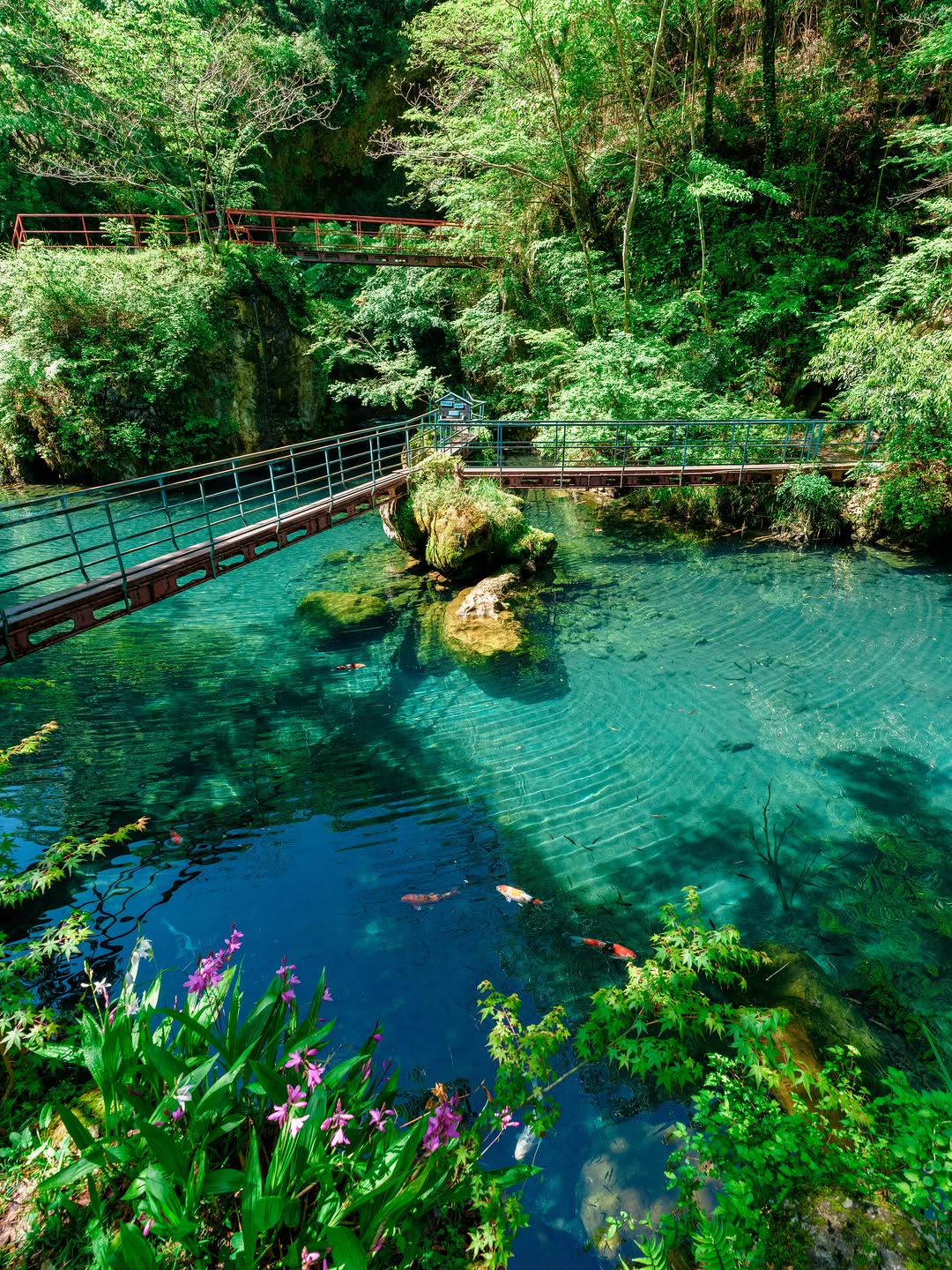 Tengu Highlands and Hakuryu Lake's Blue Waters