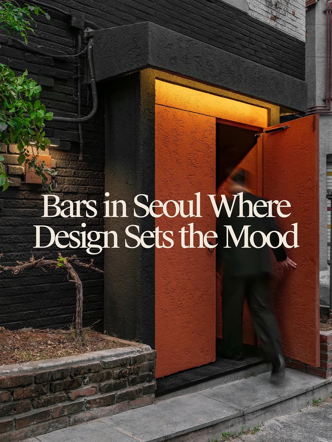 Seoul Bars Offer Unique Ambiance and Drinks