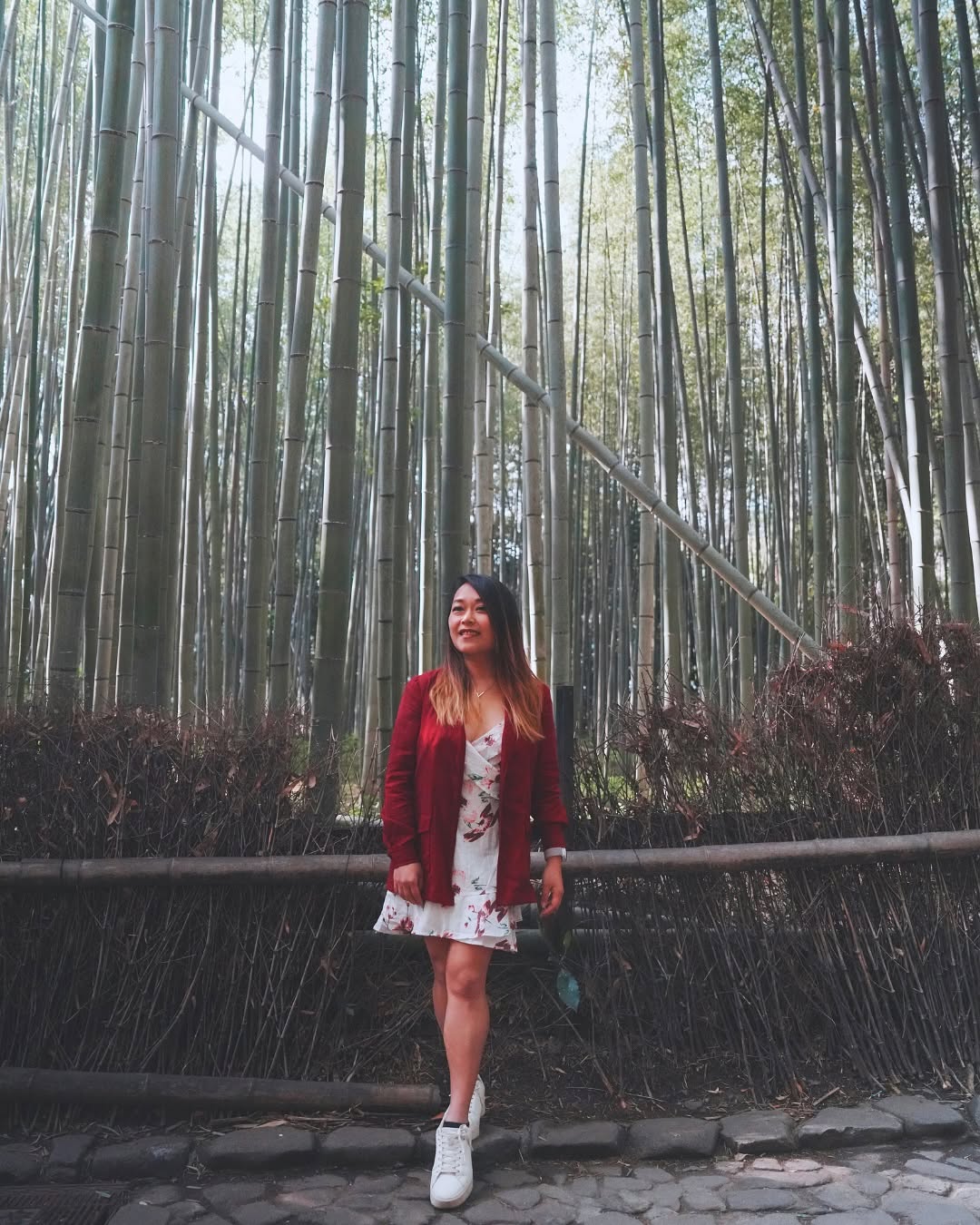 Arashiyama Itinerary: Bamboo Forest, Temples, and Monkeys