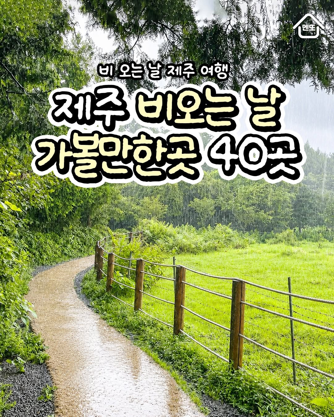 Jeju Rainy Day Attractions: Forests, Falls, and Museums