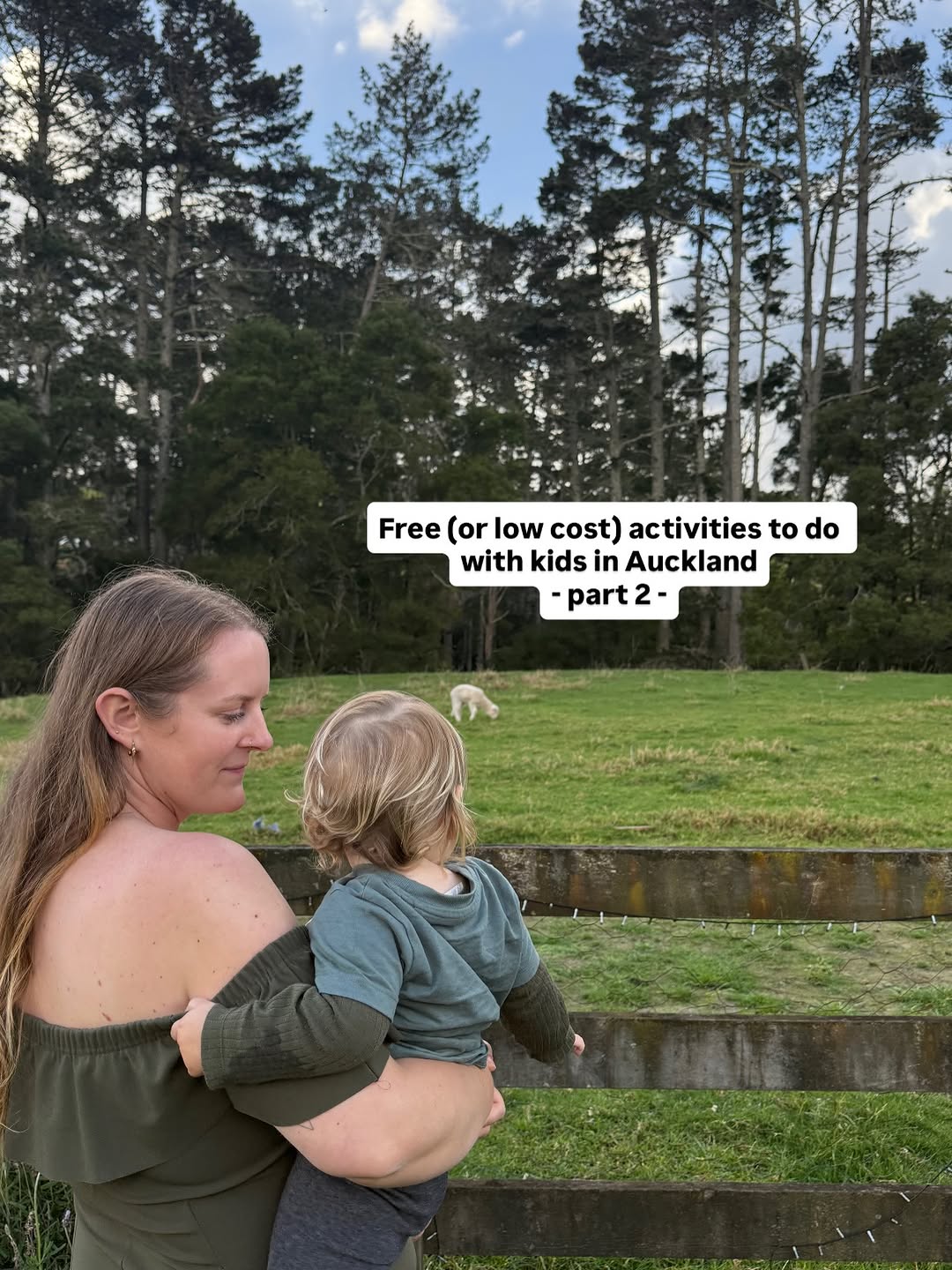 Auckland Attractions And Parks