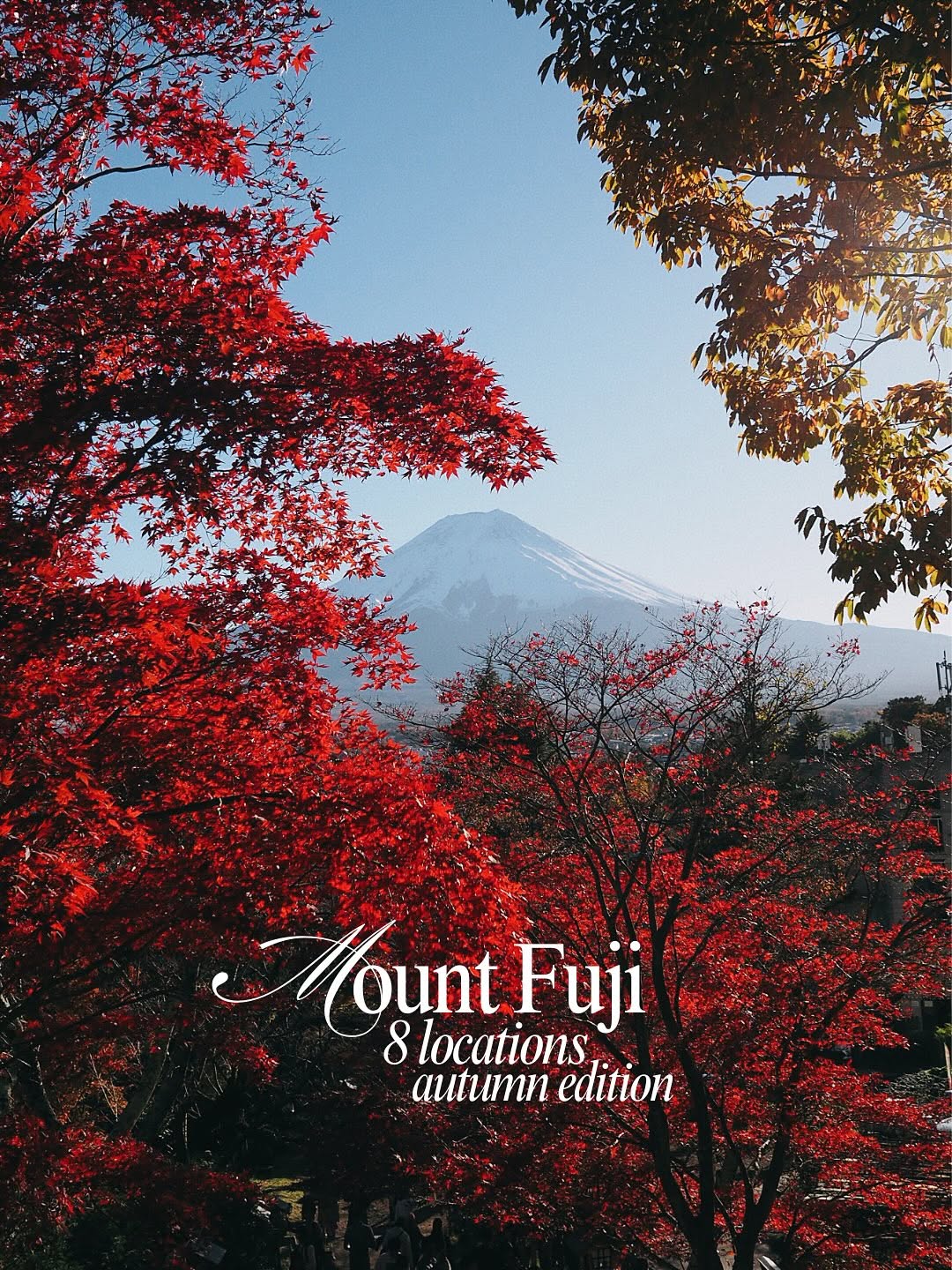 Mount Fuji Autumn Viewing Spots in Yamanashi