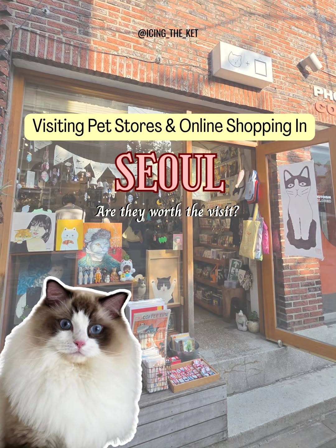 Seoul Pet Stores and Product Shops