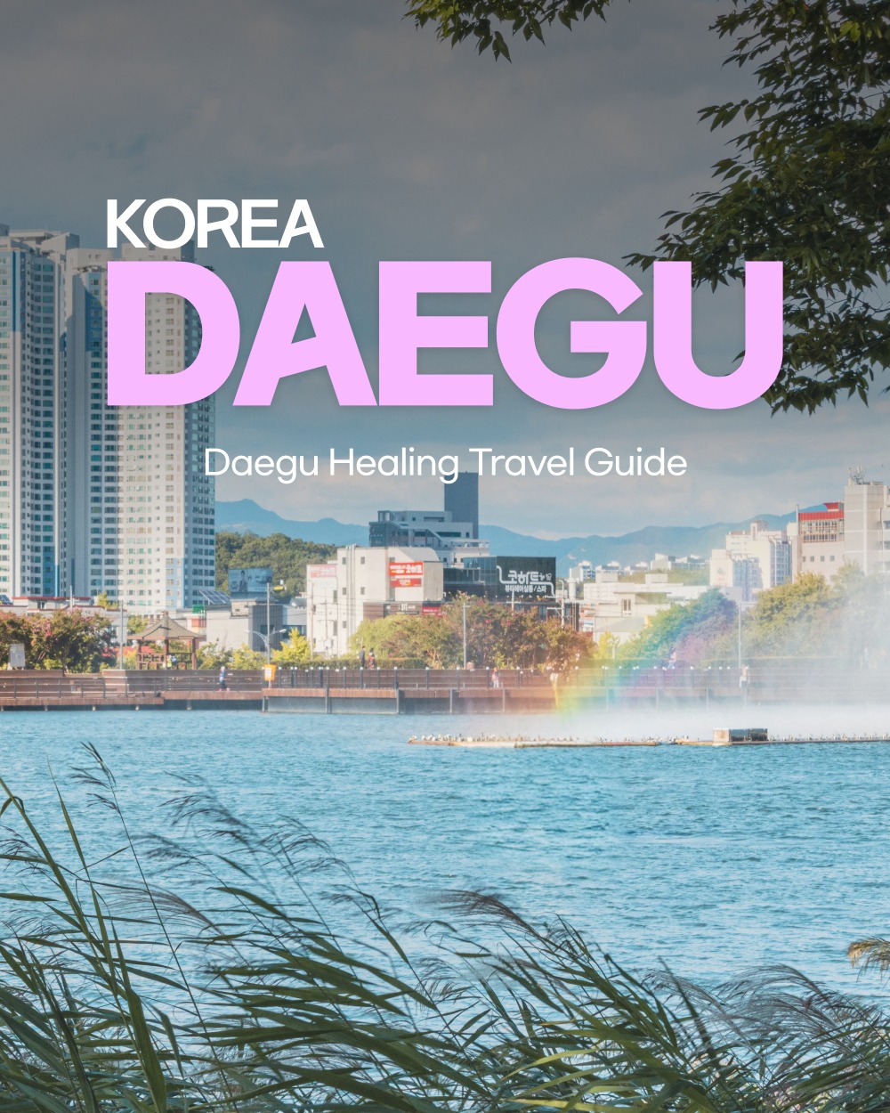 Daegu Half-Day Healing Itinerary