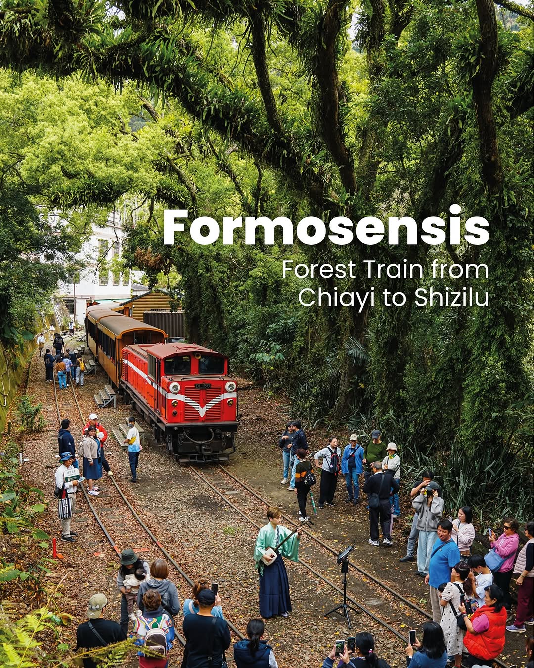 Alishan Forest Railway: Gourmet Feast Train Journey