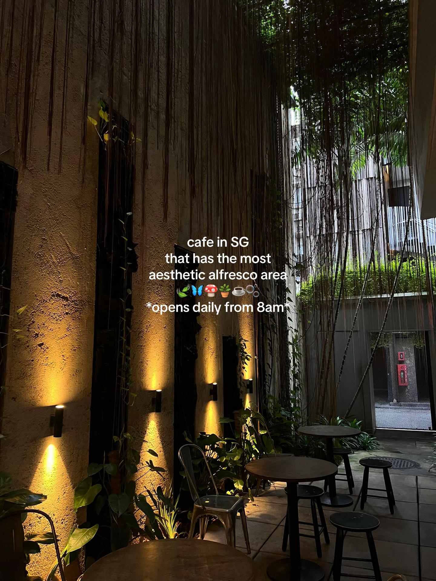 PUNCH: A Popular Spot For Delicious Treats